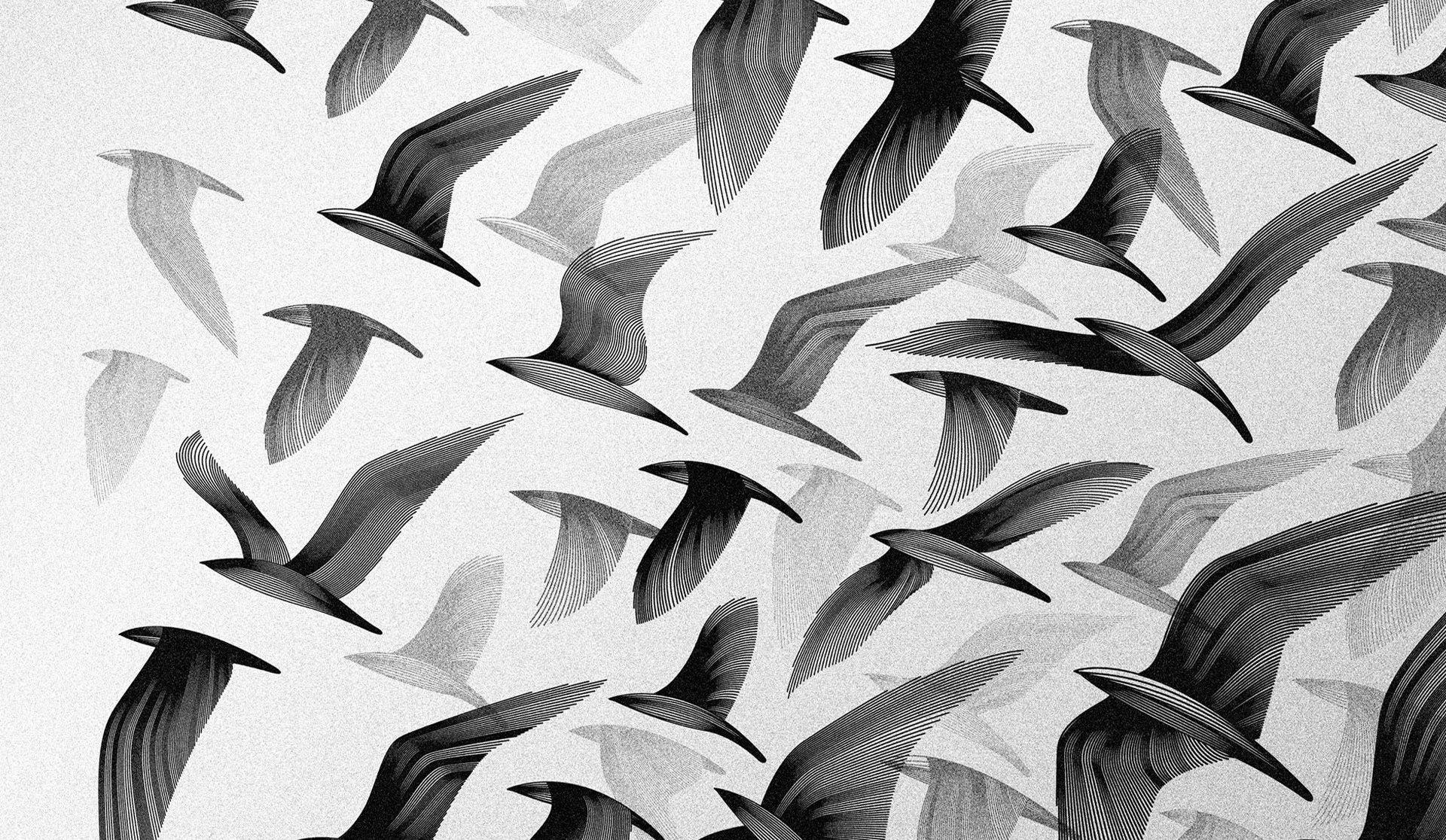 1920x1116 Black And White Birds Digital Art Monochrome Artwork