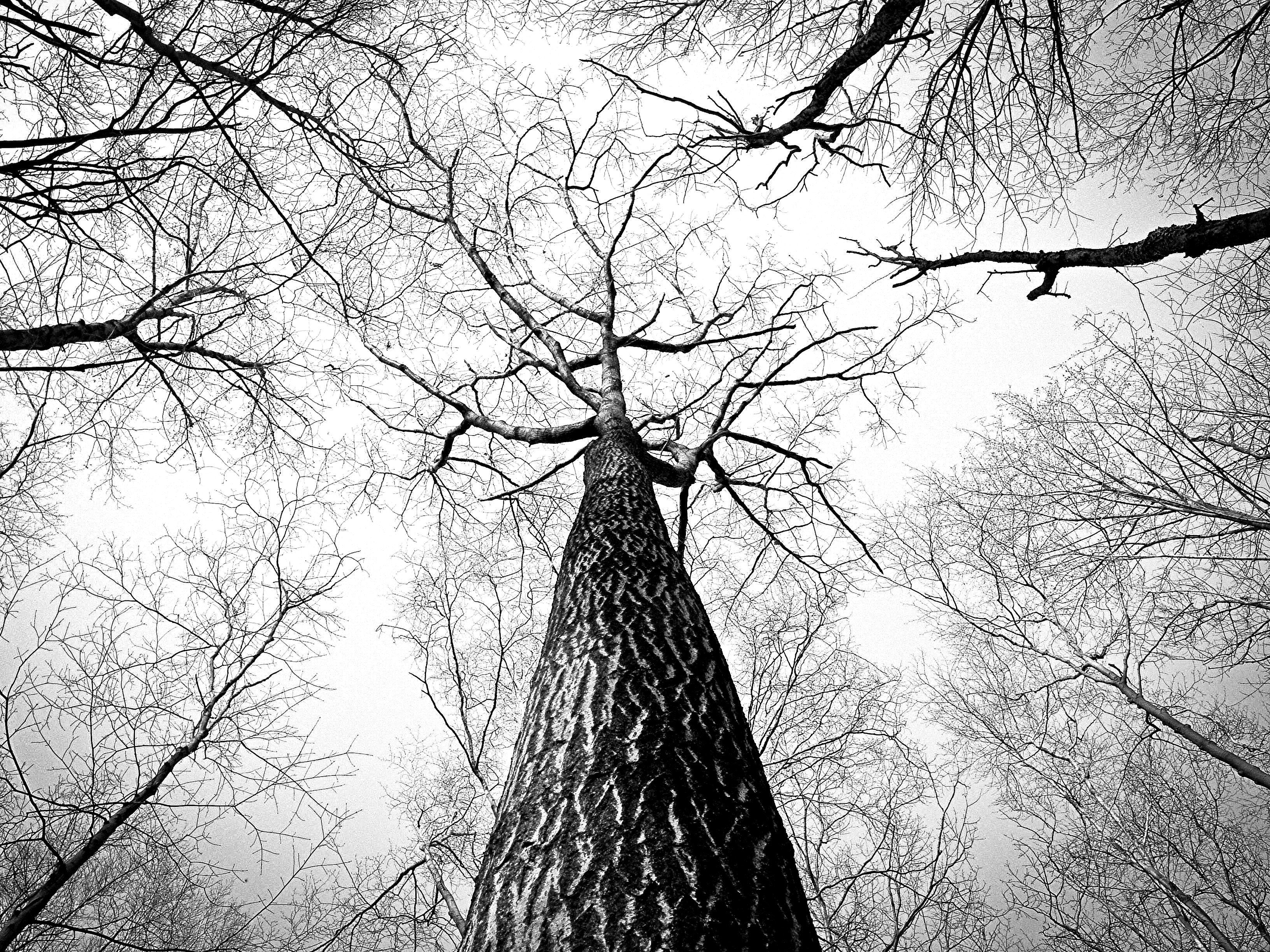 3264x2448 Black And White Wallpaper For iPhone Black And White