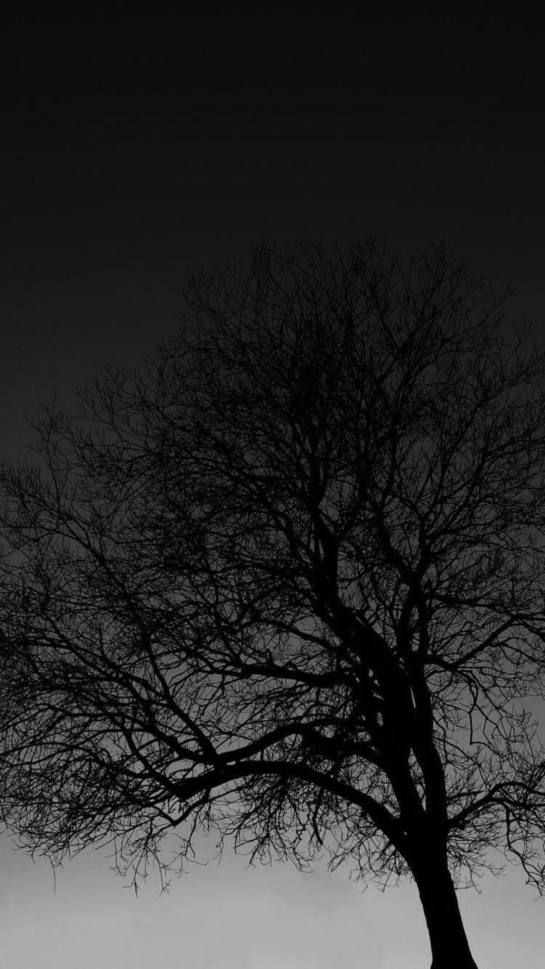 1080x1920 iPhone Wallpaper. Sky, Branch, Tree, Black, Nature, Night