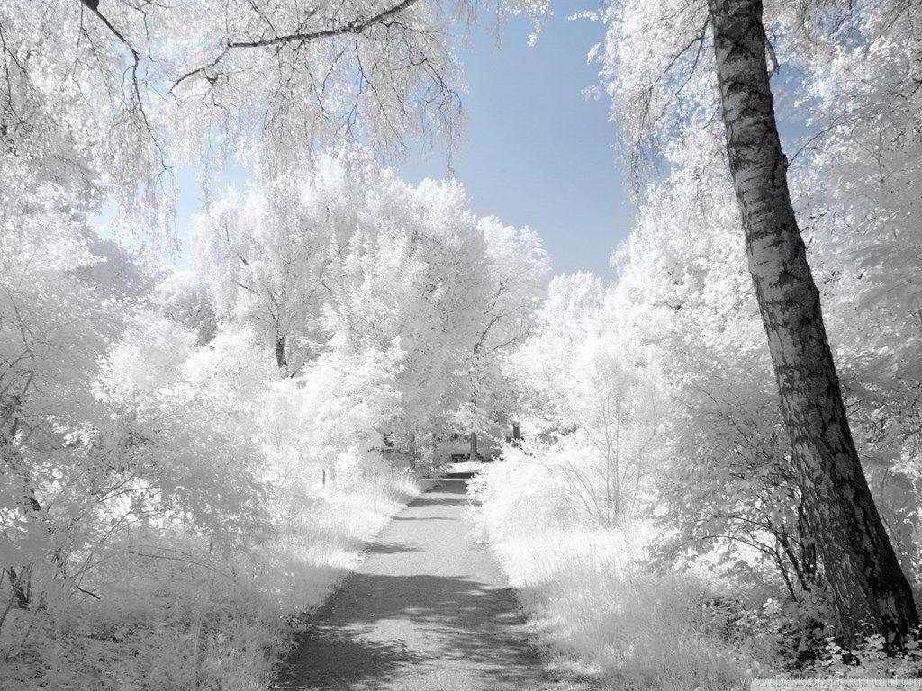1024x768 Beautiful Winter Wallpaper For Desktop