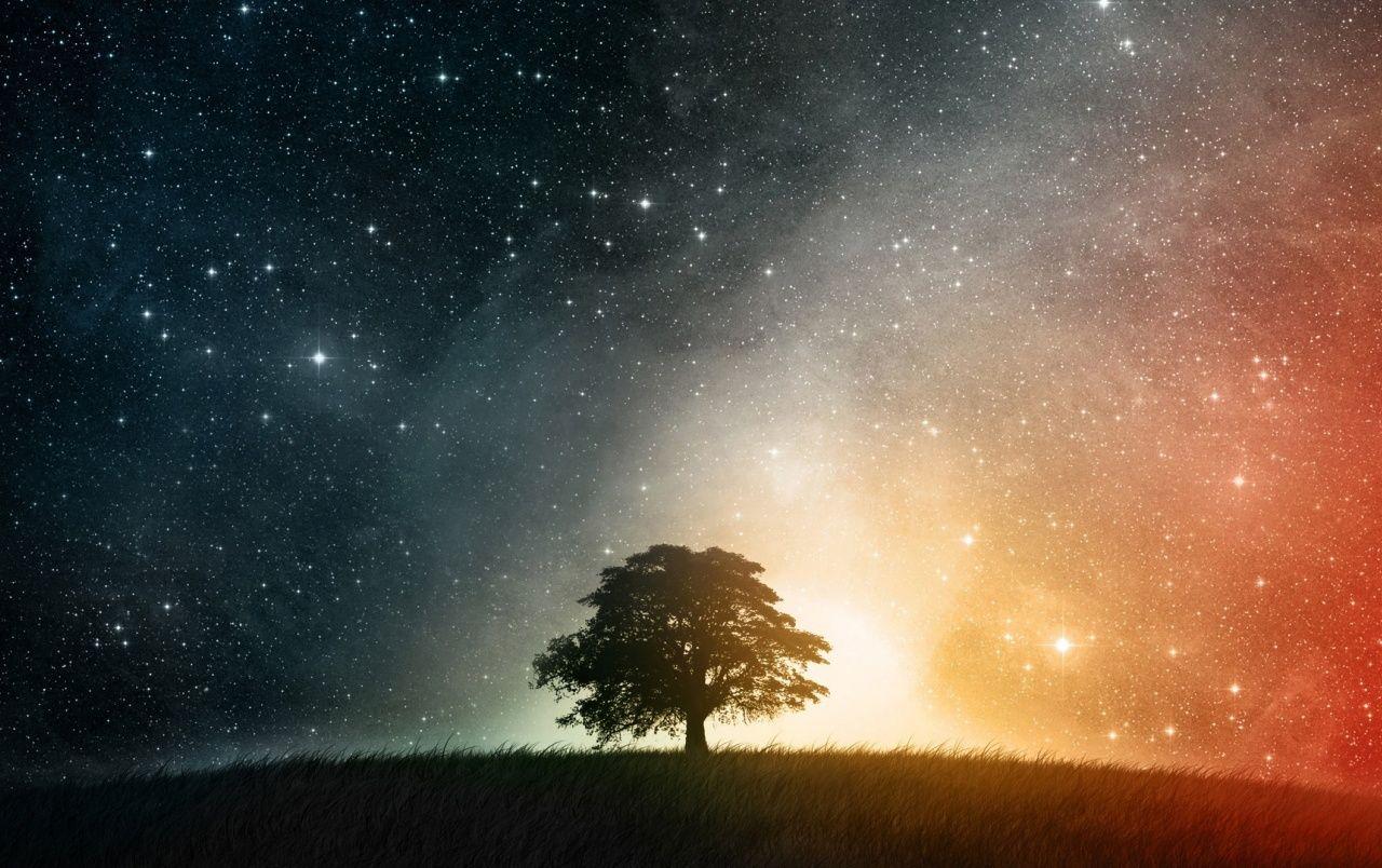 1280x804 Calico Sky Tree Hill Universe wallpaper. Calico Sky Tree