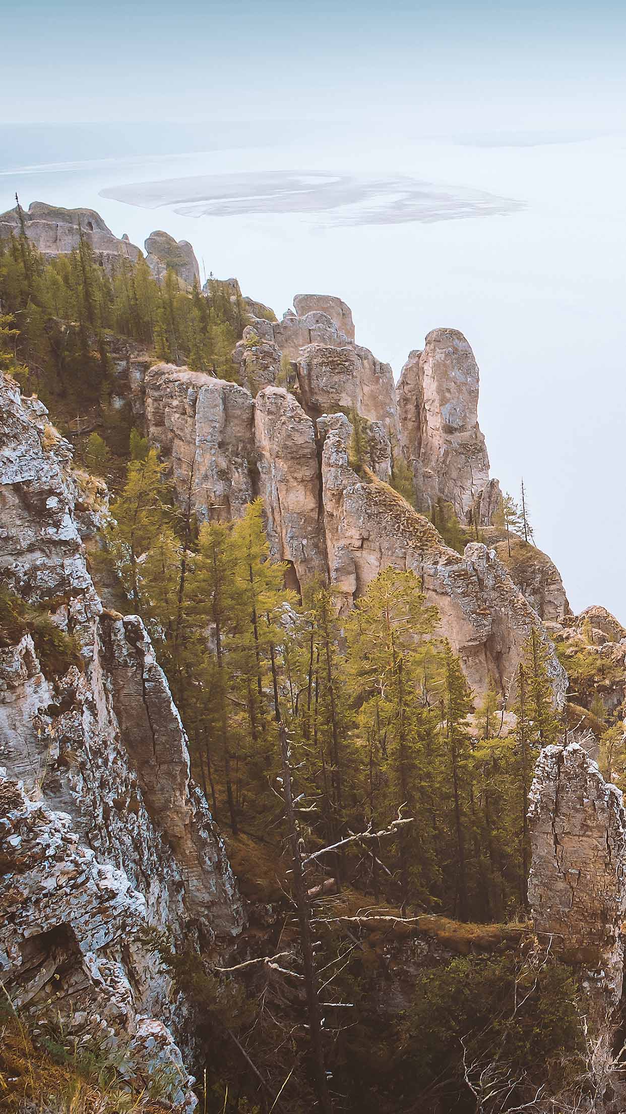 1242x2208 Best Nature iPhone XS Wallpaper