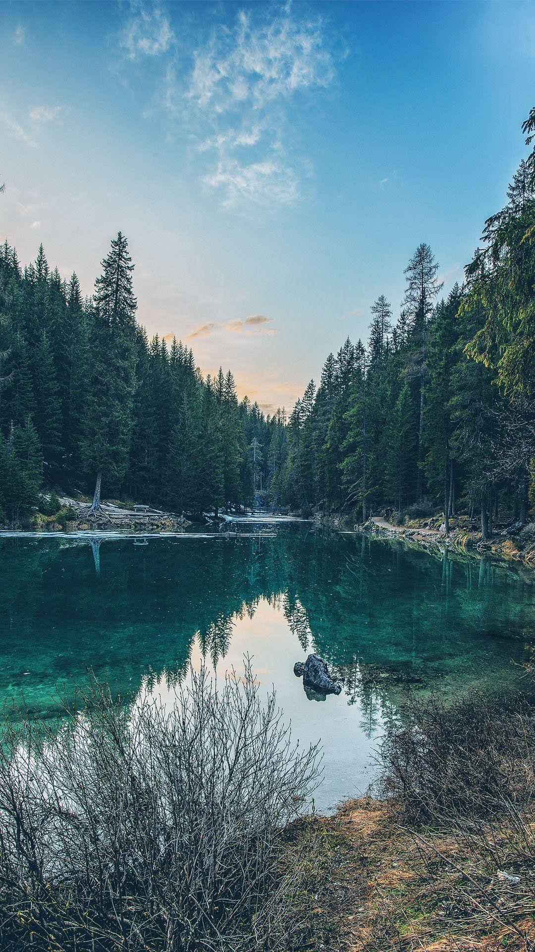 1080x1920 iPhone 11 Wallpaper HD Nature