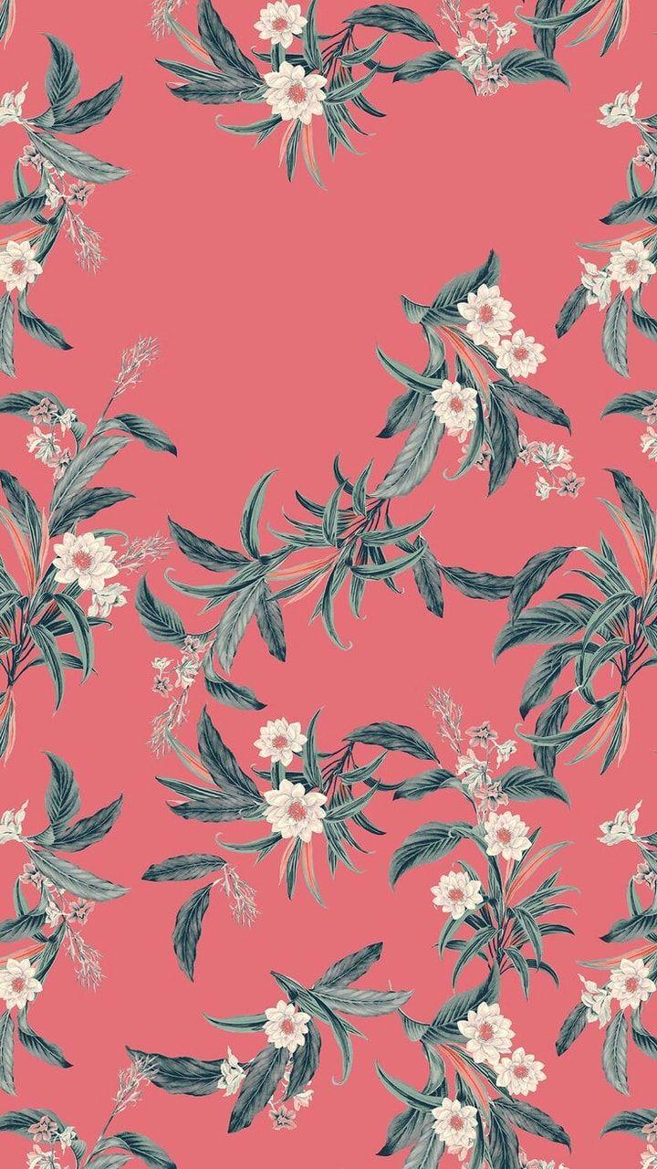 Salmon Floral Wallpapers - Top Free Salmon Floral Backgrounds ...