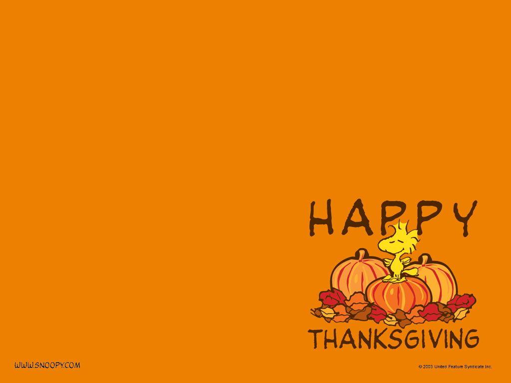 1024x768 Cute Thanksgiving Wallpaper HD 16476