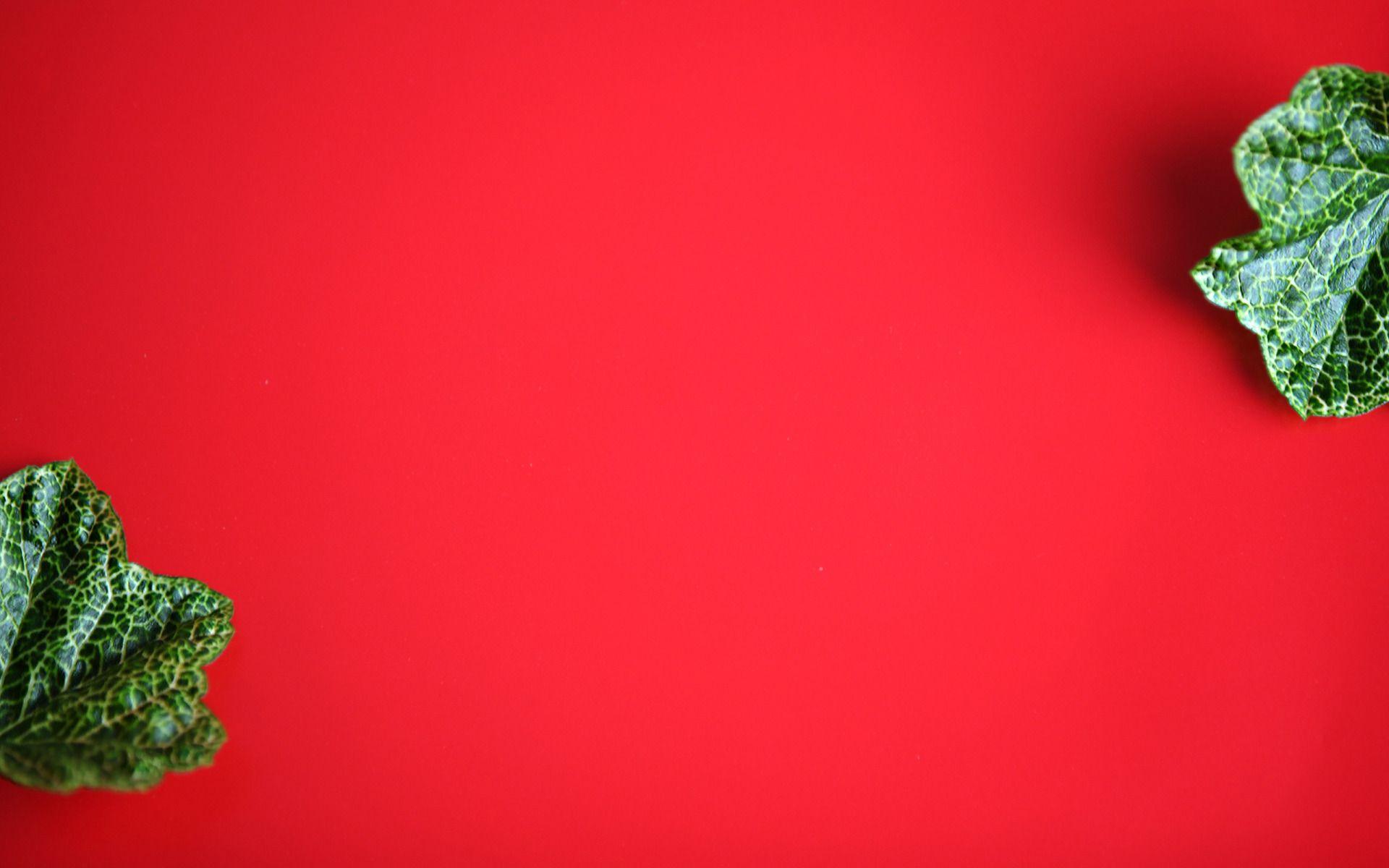 1920x1200 Green Leaves on Red Background widescreen wallpaper. Wide