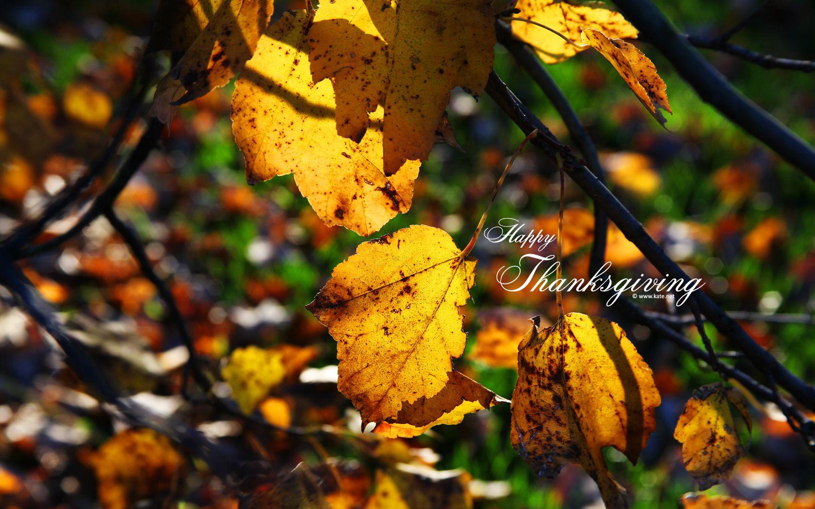1680x1050 Thanksgiving Wallpaper by