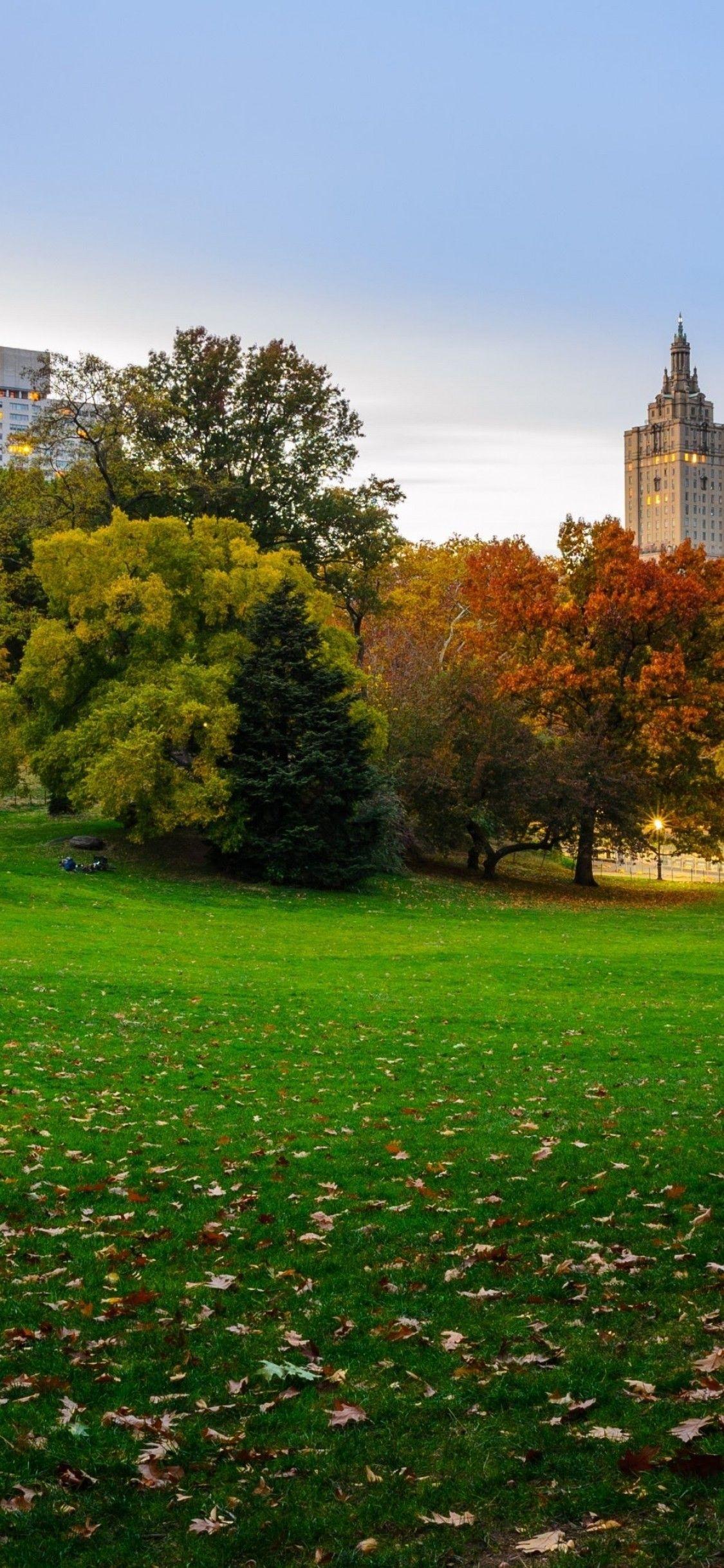 1125x2436 Download 1125x2436 New York Central Park, Buildings