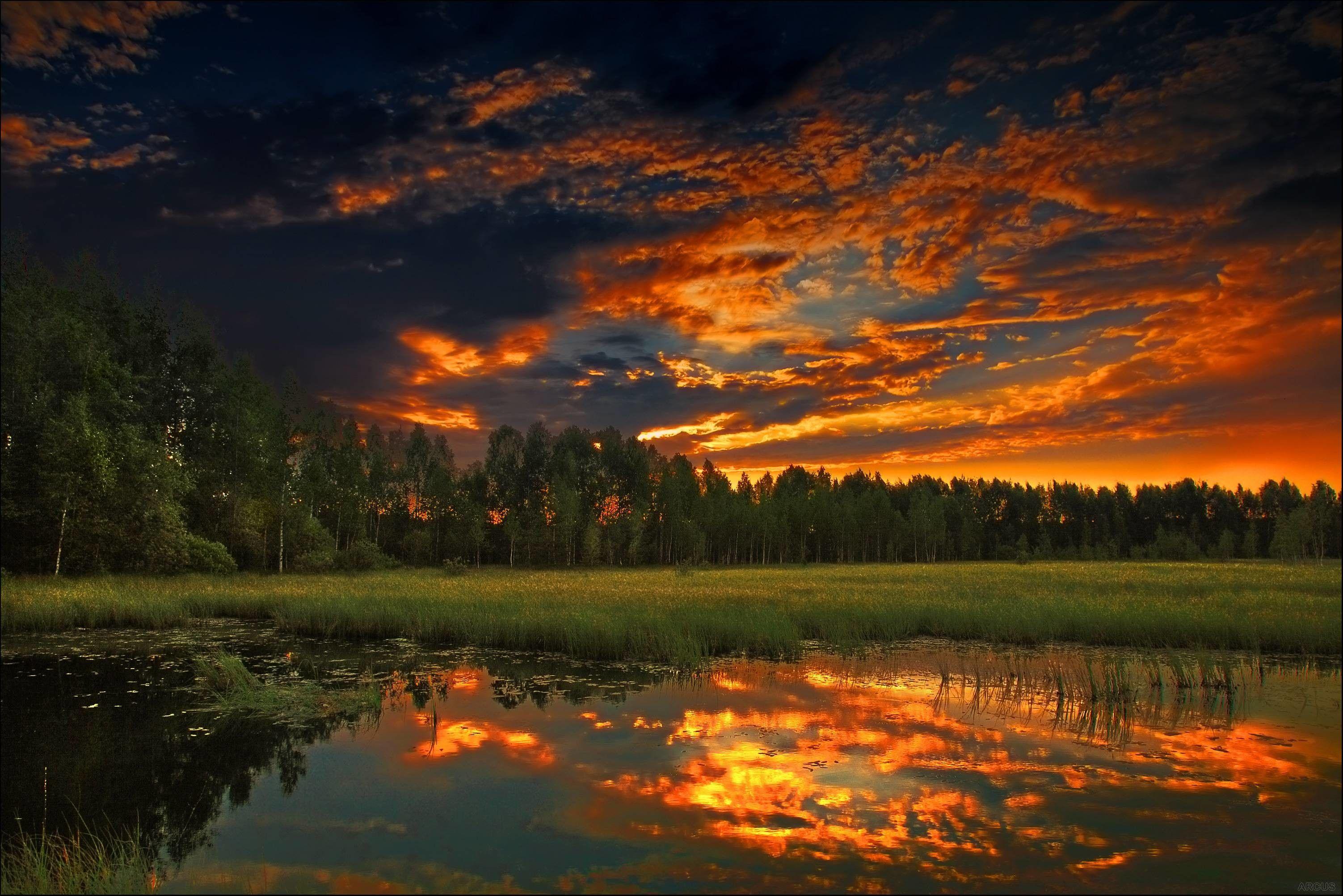 3005x2005 Scenic Background