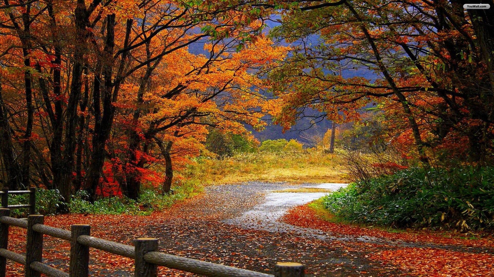 1920x1080 Fall Scenery Wallpaper