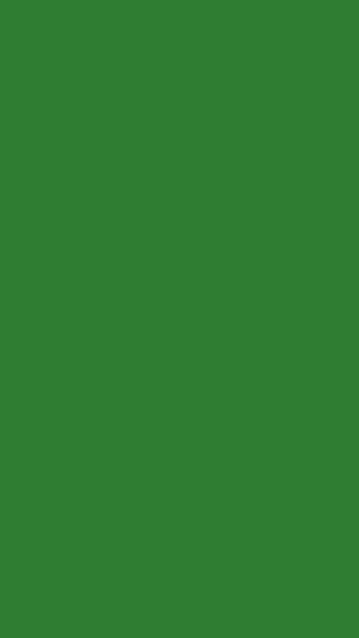 720x1280 Green Color Wallpaper for Android