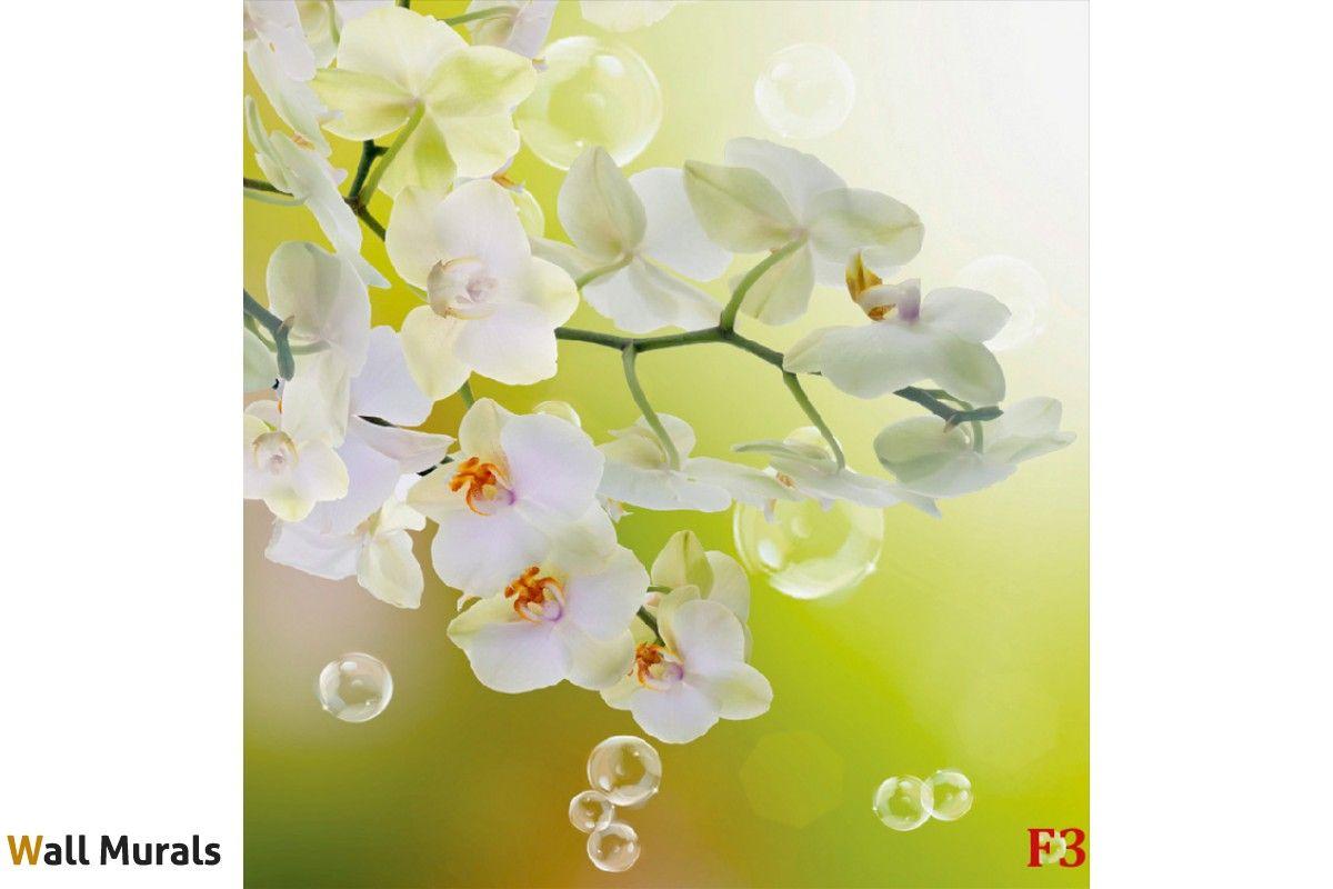 1200x800 Wallpaper mural orchids with water drops on green background