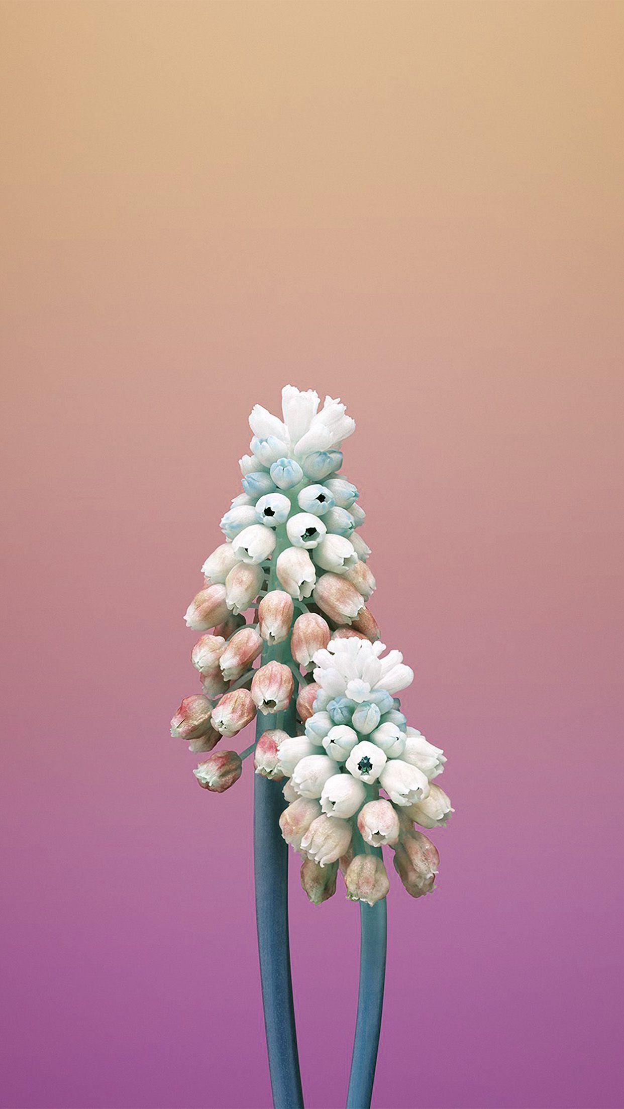 1242x2208 Pink Flower iPhone X Wallpaper