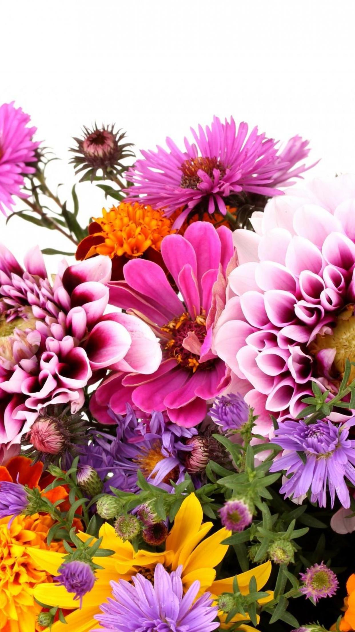 1242x2208 Floral Wallpaper iPhone
