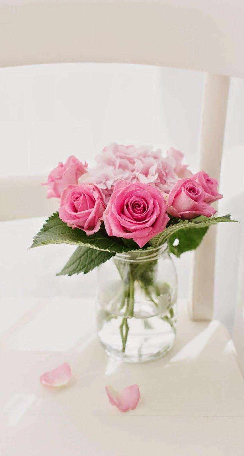 857x1600 Free download Flower iPhone Wallpaper Top Flower iPhone