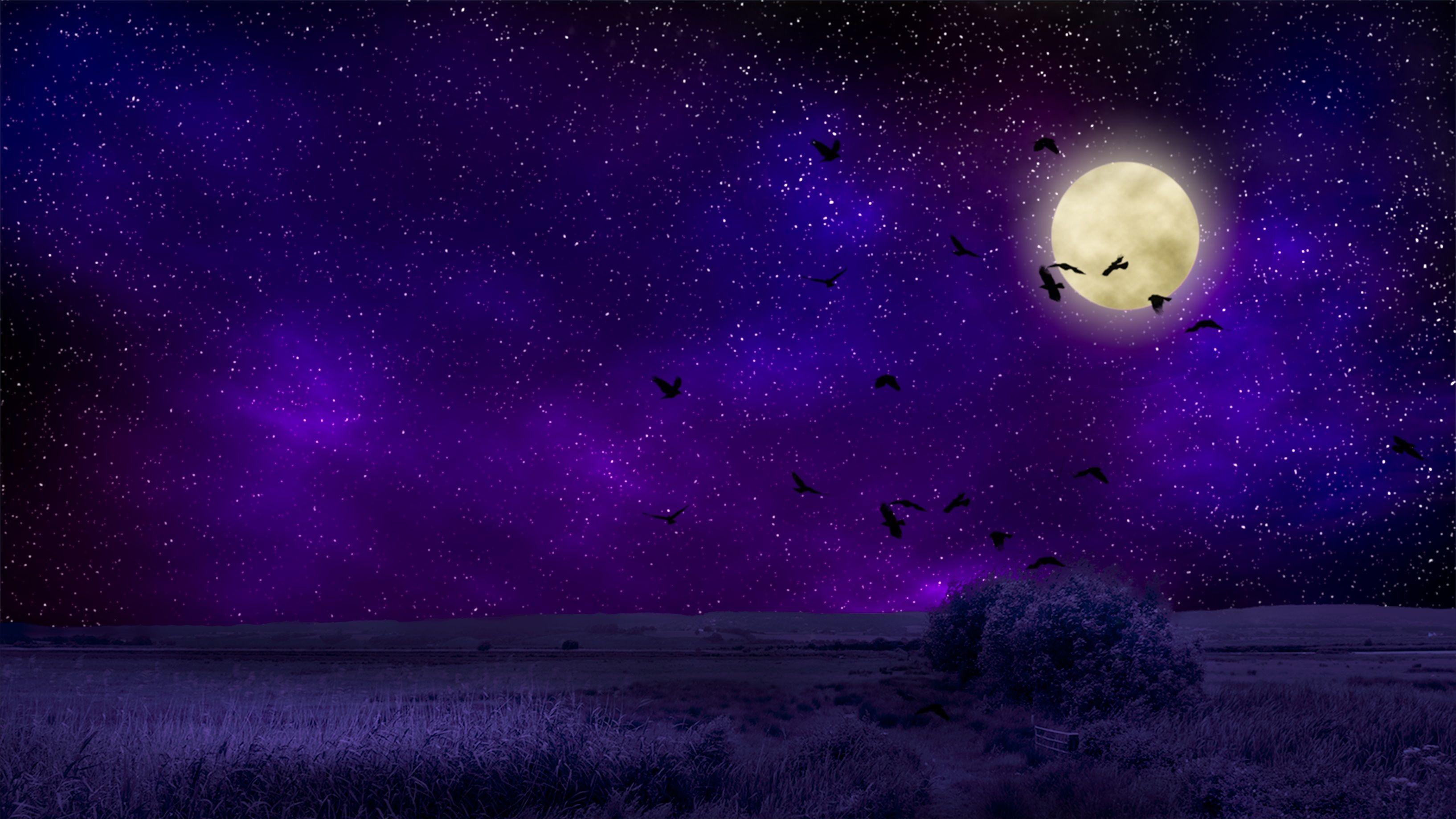 Purple Moon Wallpapers Top Free Purple Moon Backgrounds WallpaperAccess