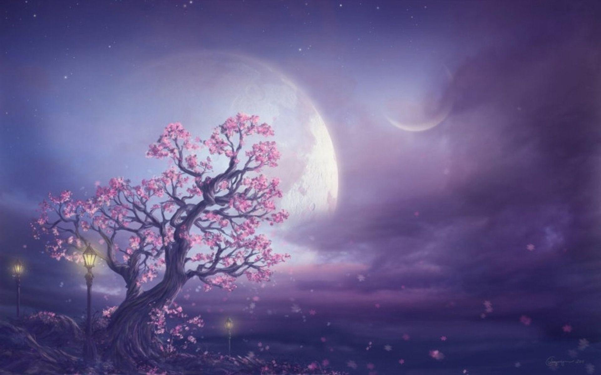 Hình nền 1920x1200 Pink Tree Moon & Purple Sky.  Mặt trăng cây hồng