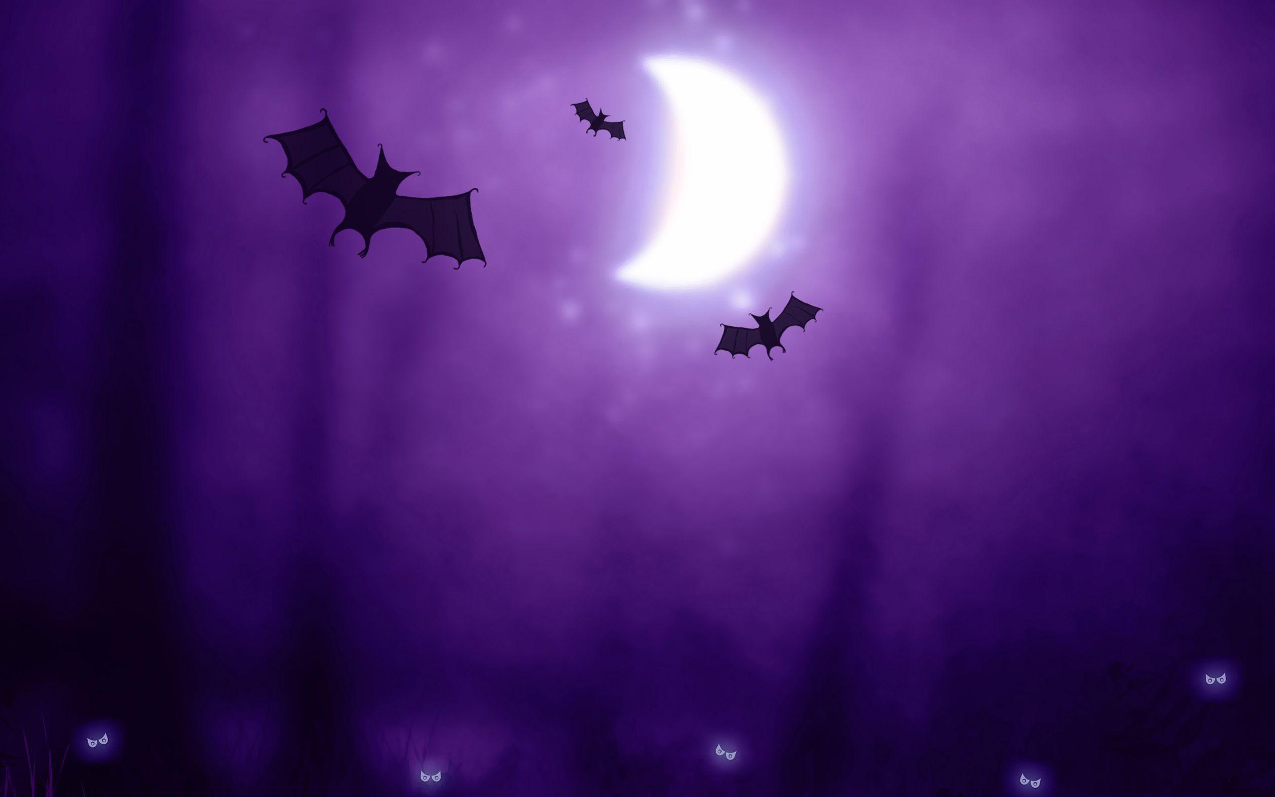 2560x1600 #Halloween Dơi, #Purple, #Moon.  Hình nền ngày lễ