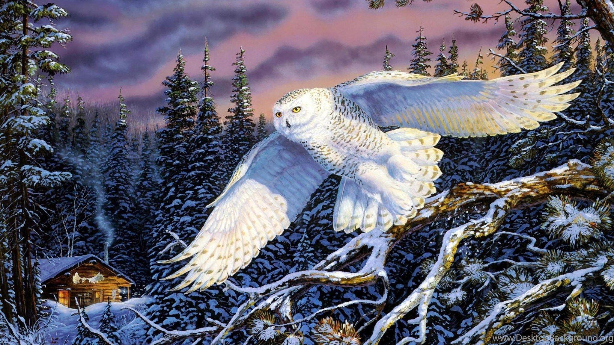 2048x1152 Snowy Owl Computer Wallpaper, Desktop Background Desktop
