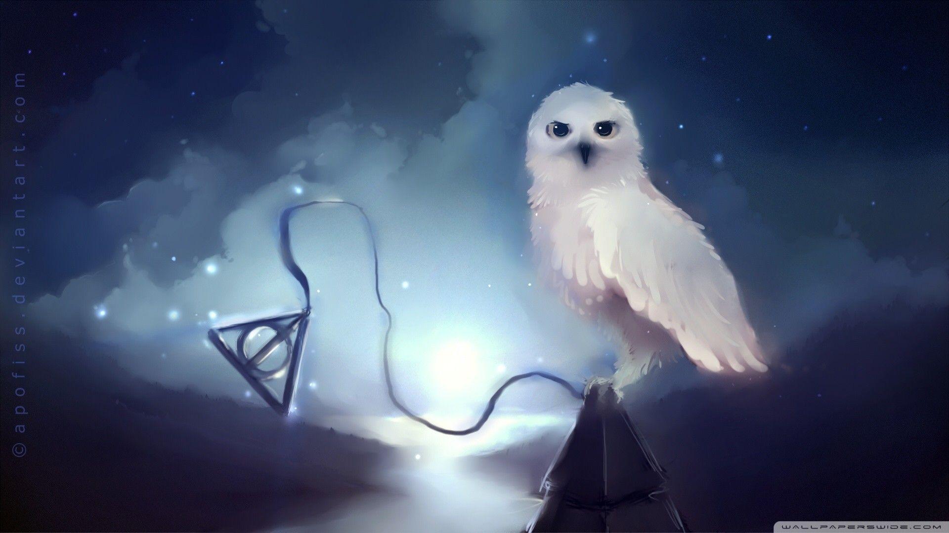 1920x1080 Winter Owl Wallpaper 1920x1080