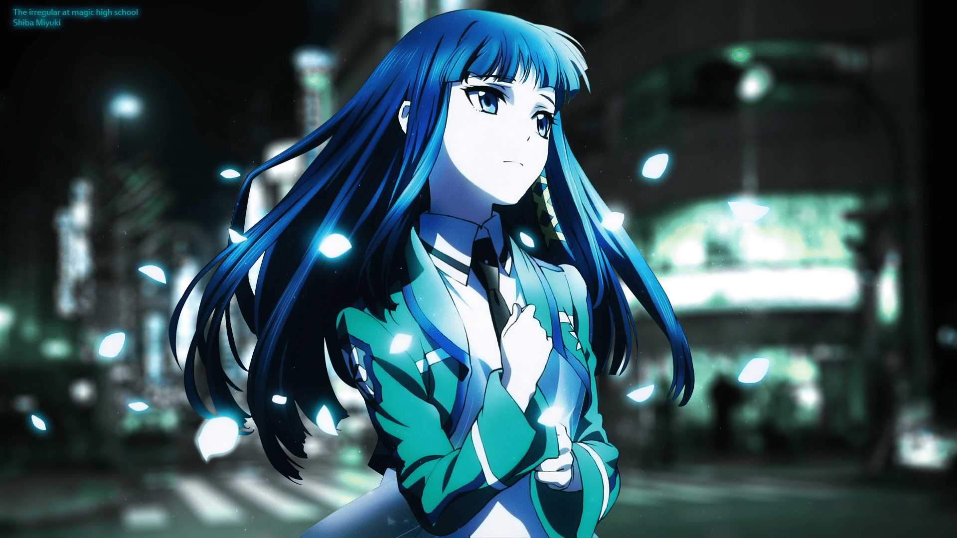 1920x1080 Shiba Miyuki HD Wallpaper and Background Image