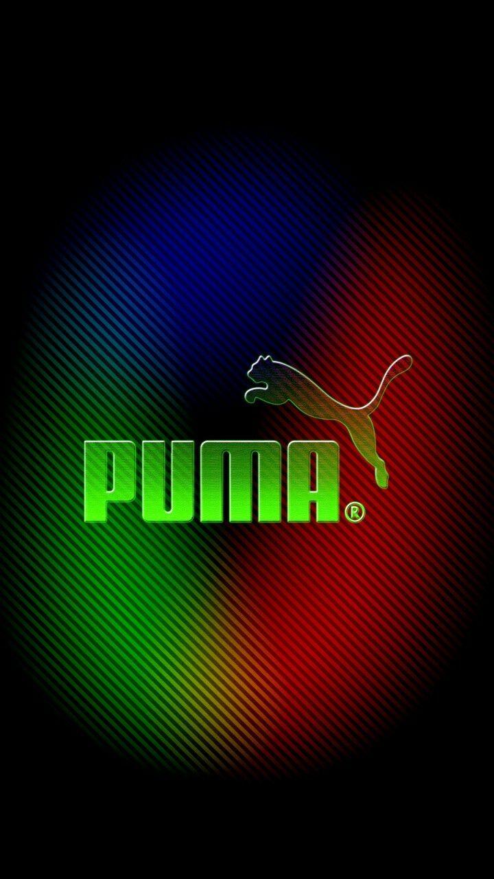 Download Puma In Camouflage Wallpaper  Wallpaperscom