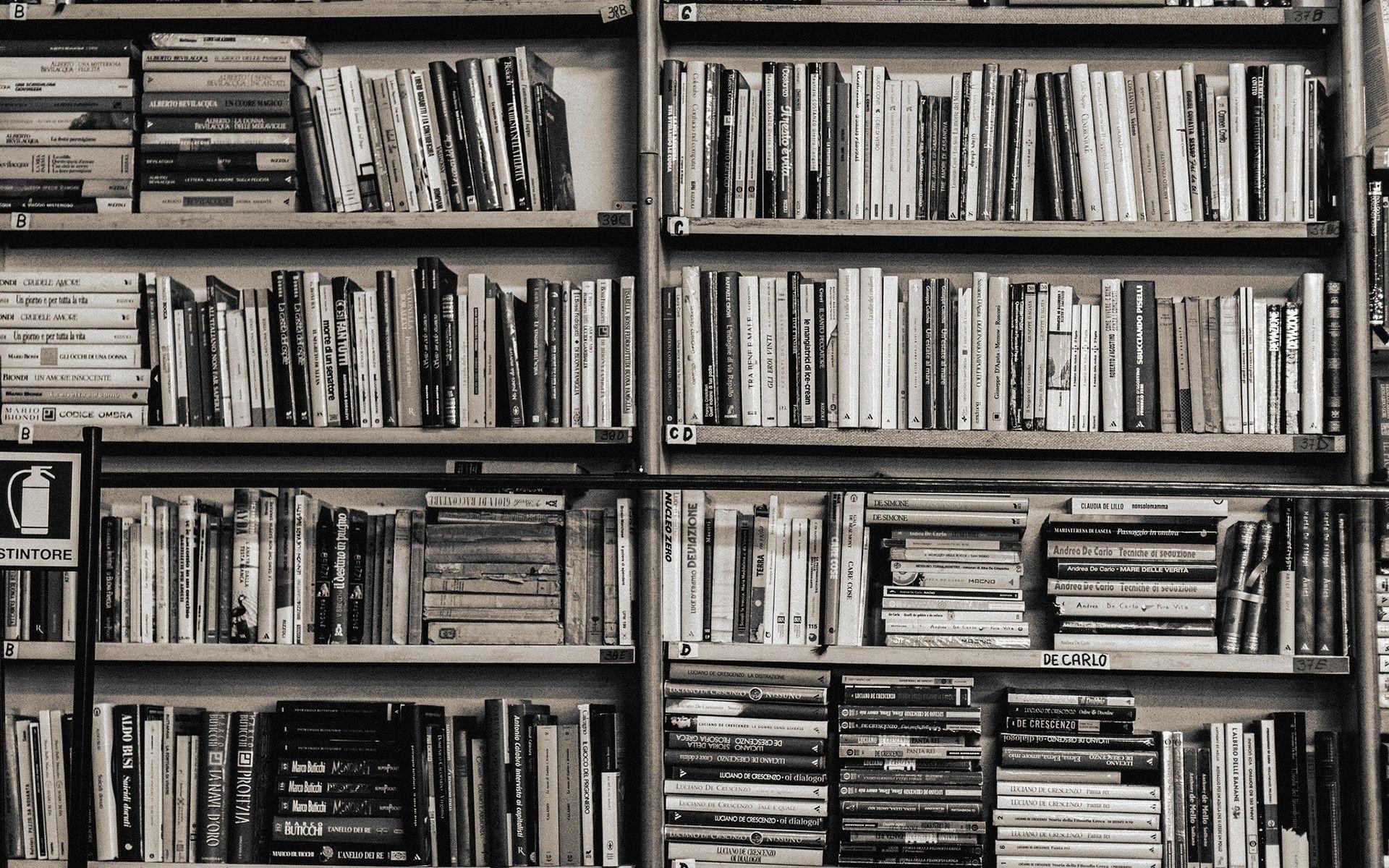 1920x1200 Bookshelf Wallpaper for Desktop