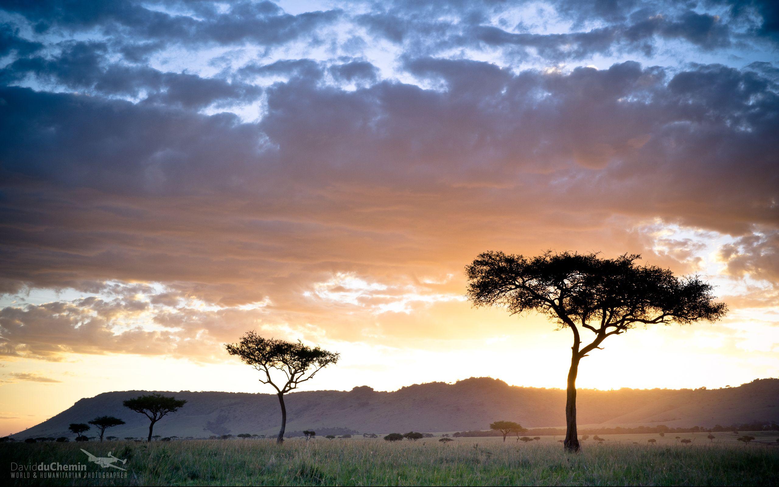 2560x1600 Postcard & Wallpaper from Kenya