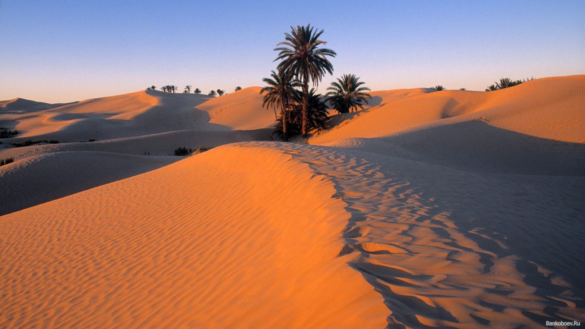 1920x1080 Tunisia Wallpaper