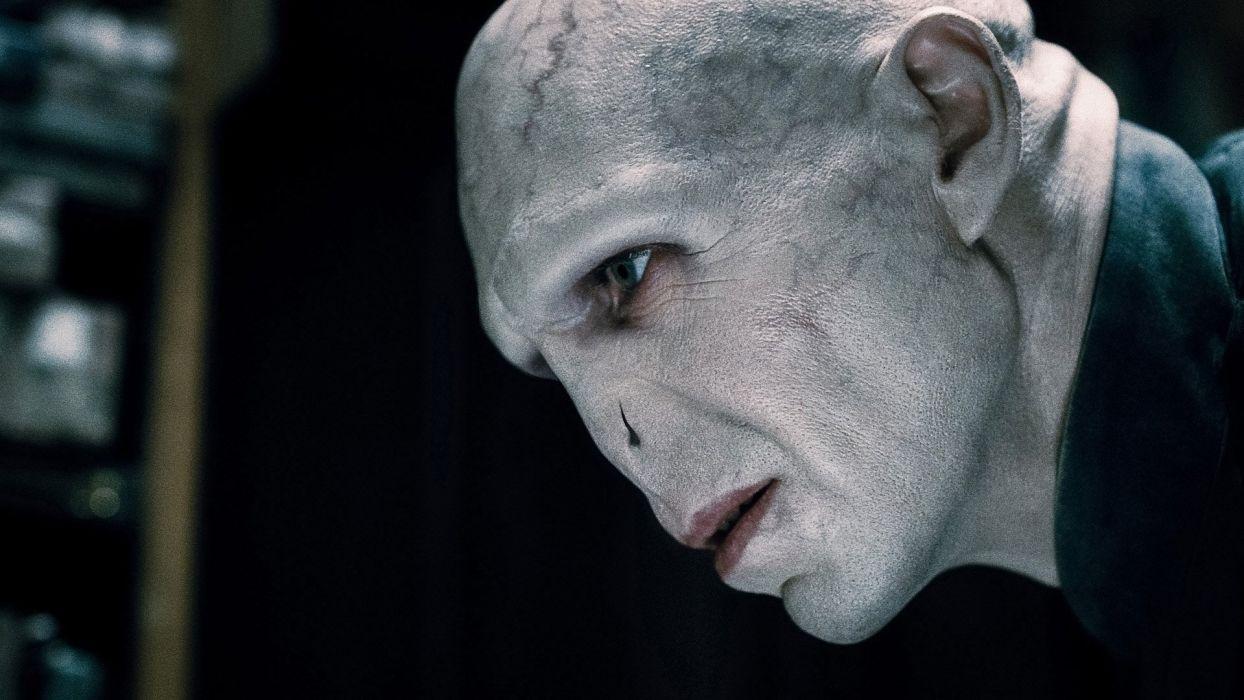 1244x700 Harry Potter Voldemort wallpaperx1080