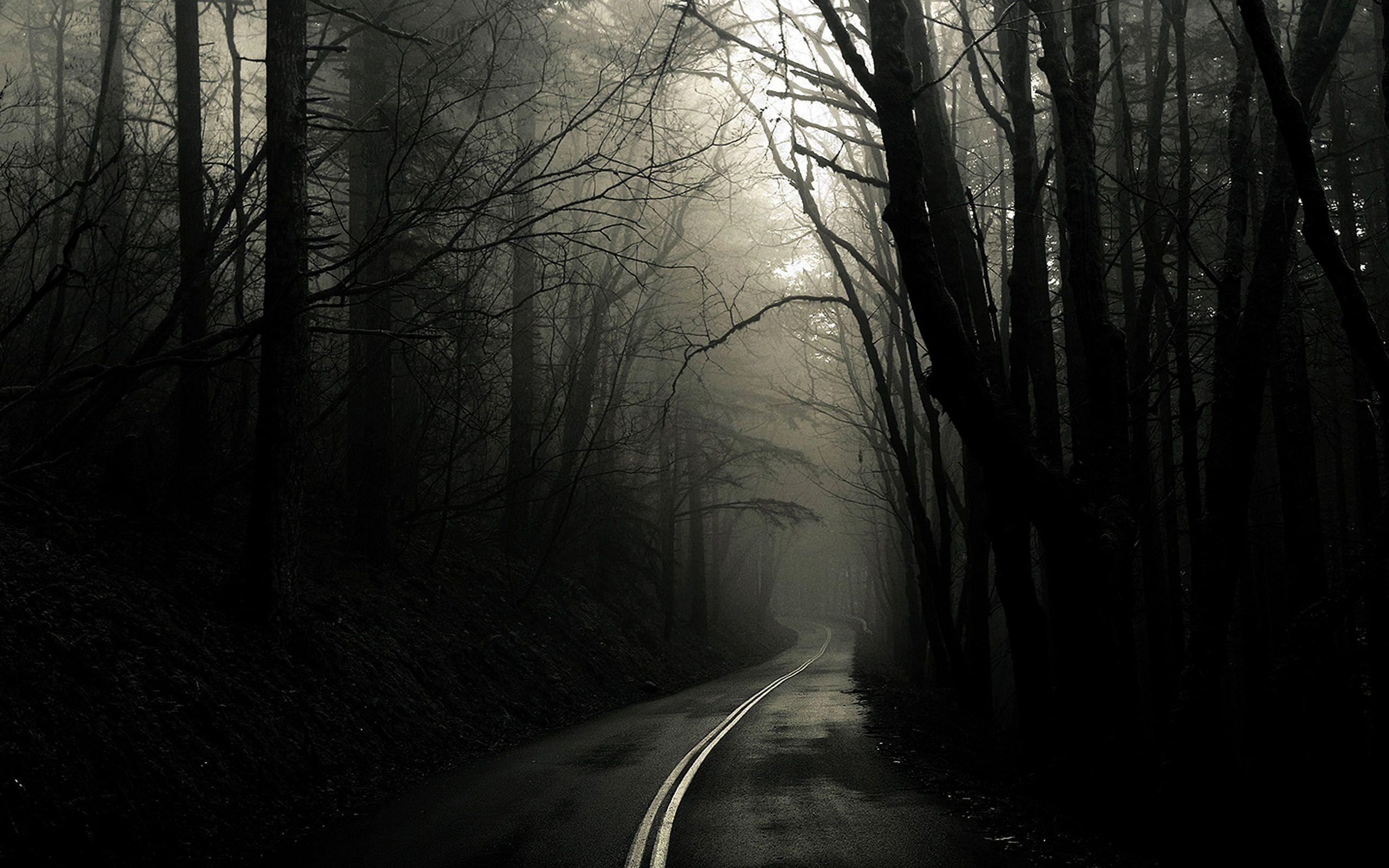 2560x1600 Download Dark Mac Dark Apple Road Wallpaper. Full HD