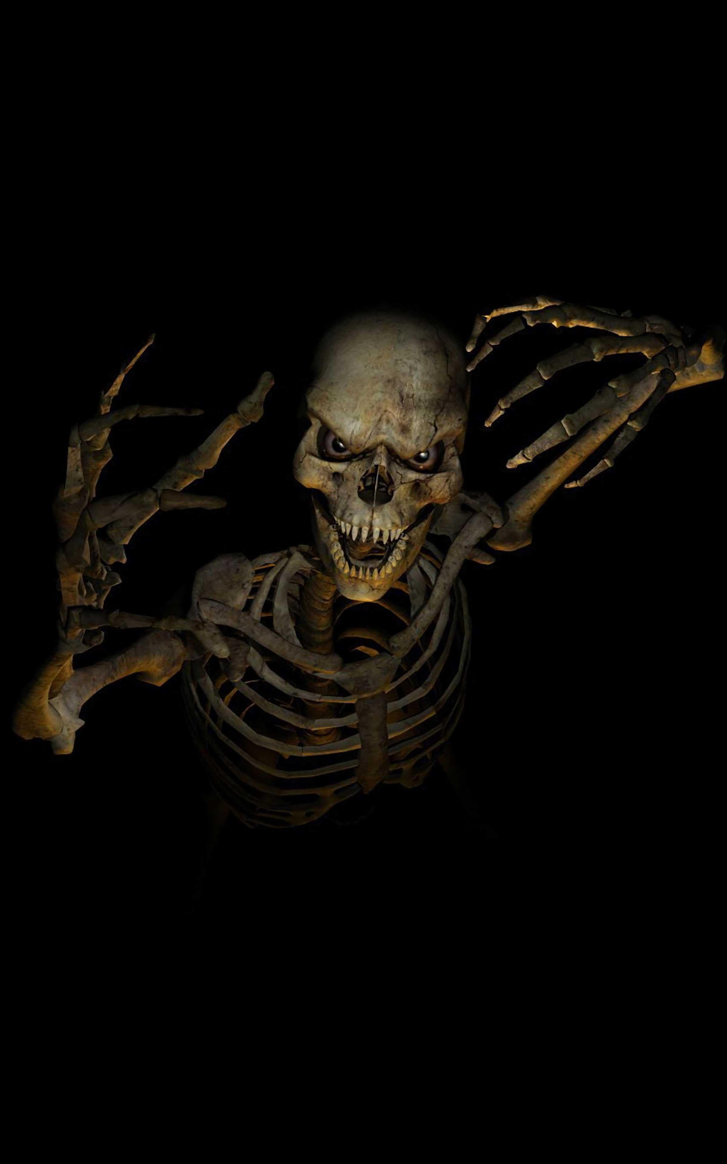 2400x3840 Skeleton Wallpaper Skeleton Wallpaper for Android