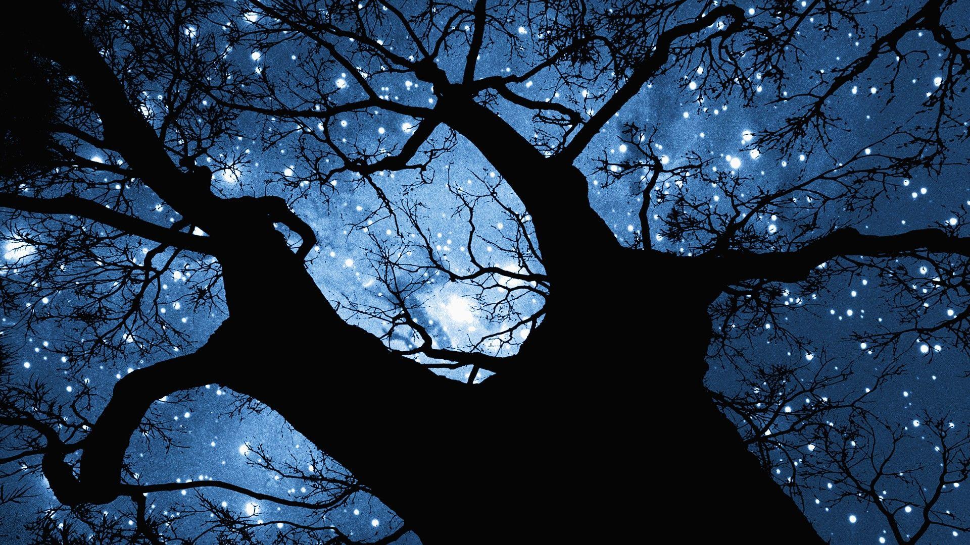 1920x1080 Free Night Stars Wallpaper Desktop