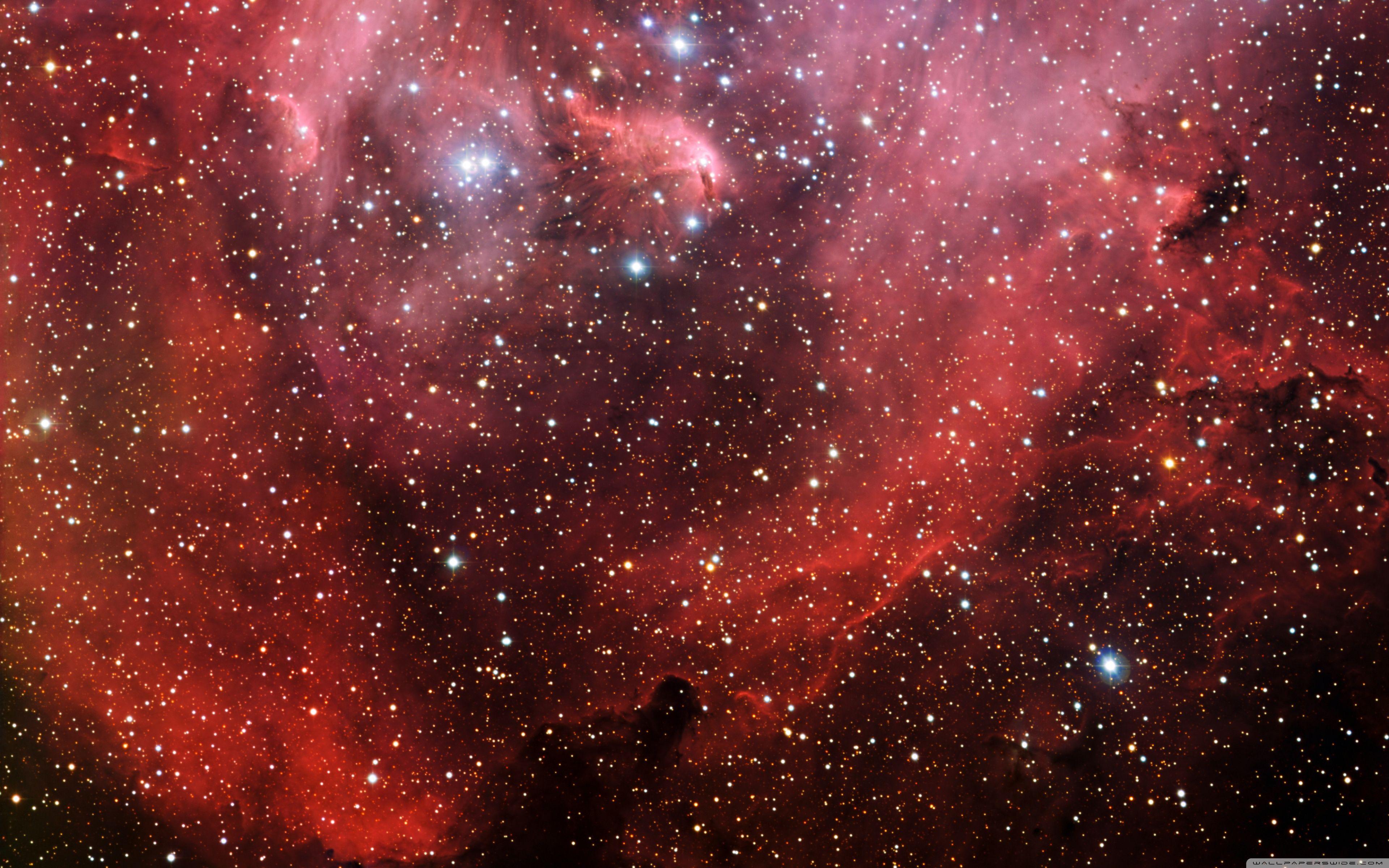3840x2400 Millions Of Stars ❤ Hình nền máy tính để bàn HD 4K cho TV Ultra HD 4K https://wallpaperaccess.com/full/188799.jpg