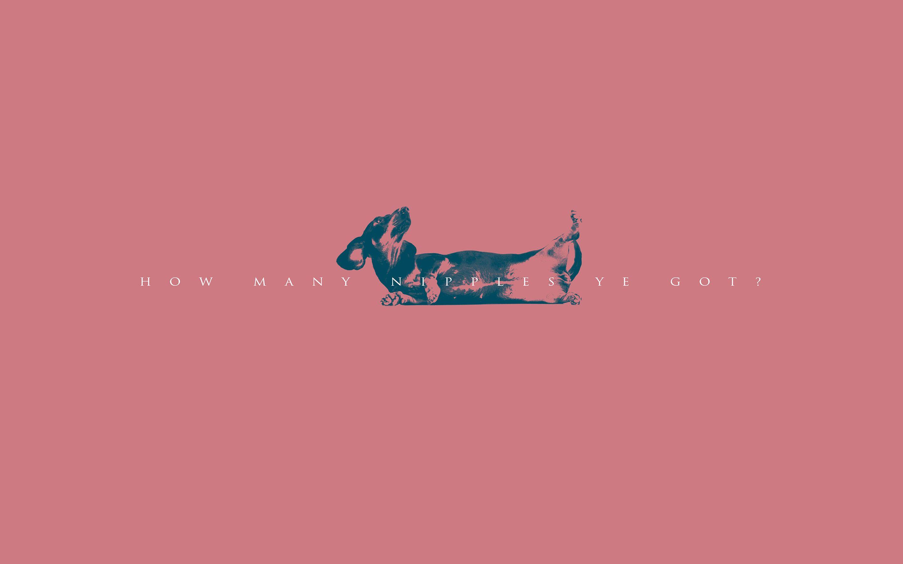 2880x1800 Silva Screen