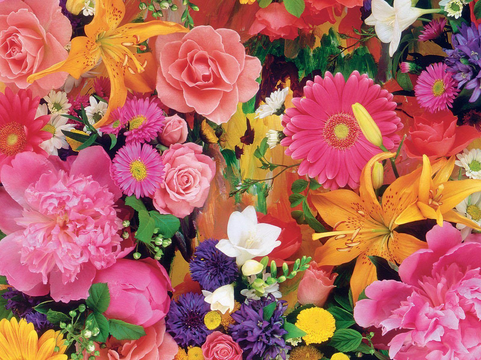 Flower Painting Wallpapers - Top Free Flower Painting Backgrounds