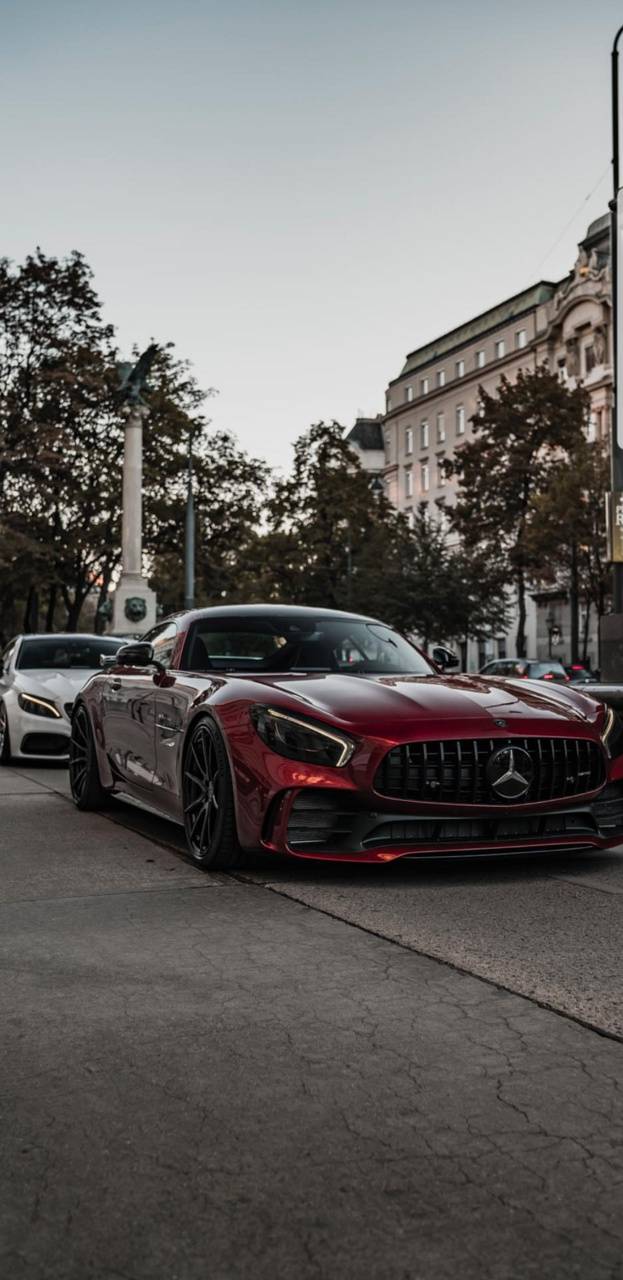 623x1280 ZED Merc AMG GTR wallpaper