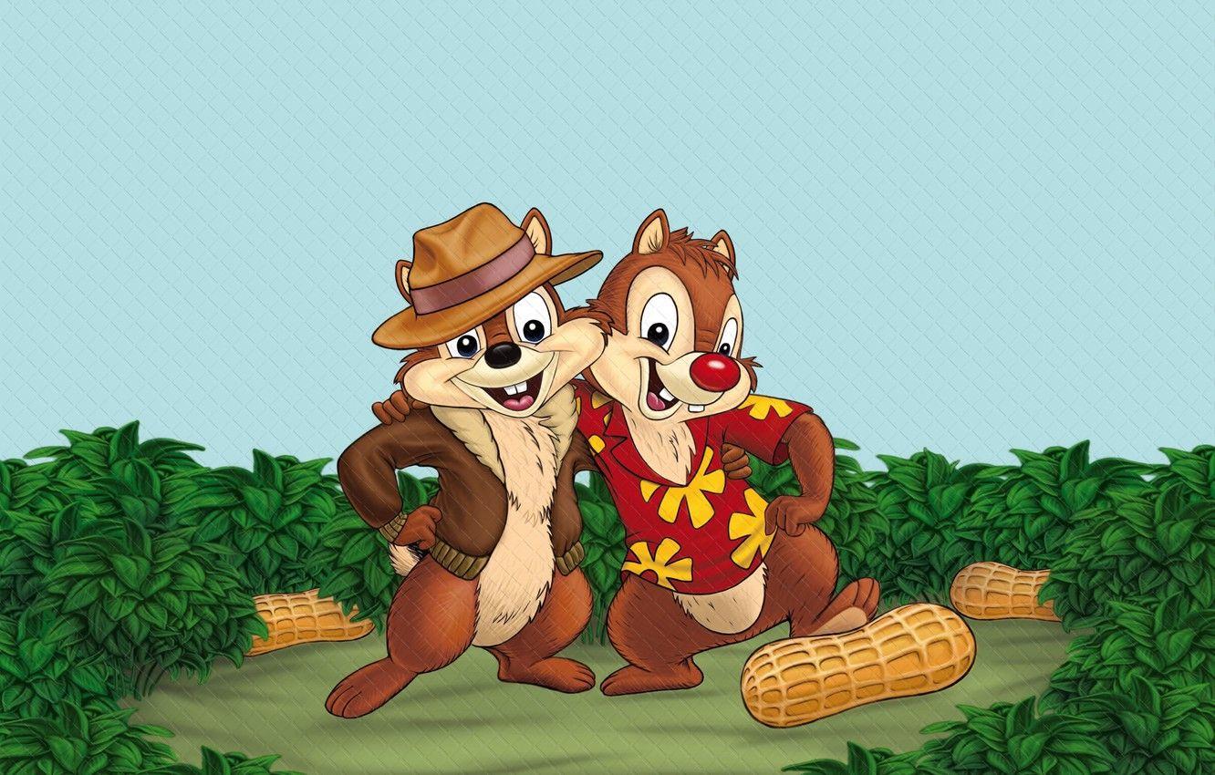Chip a promo dale