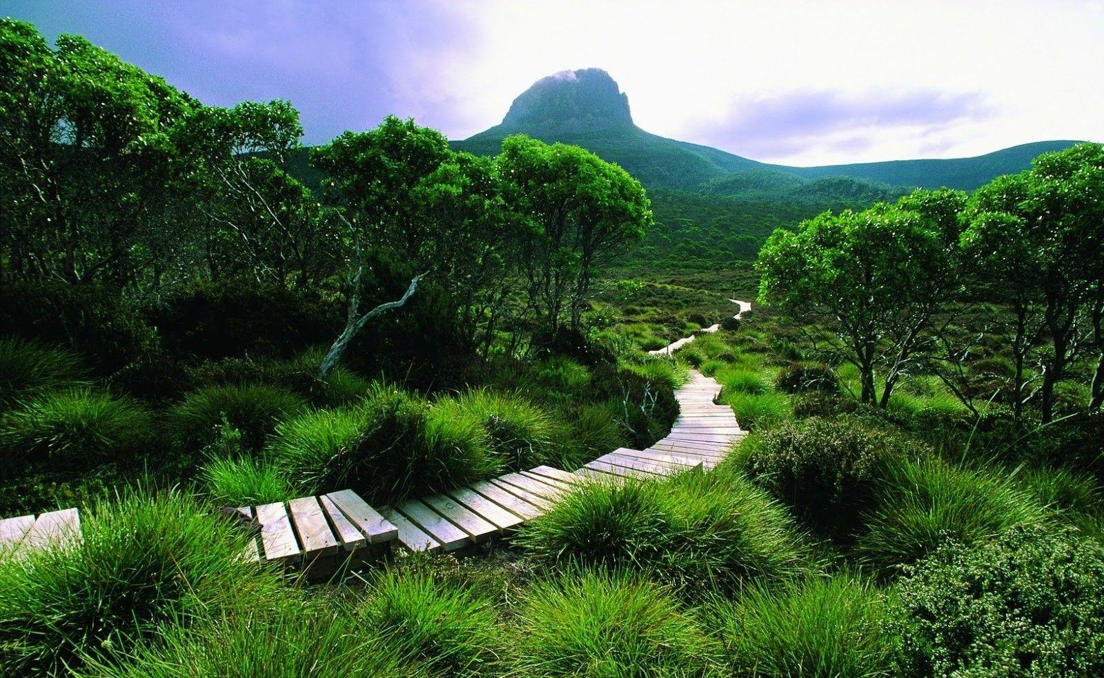 Tasmania Wallpapers - Top Free Tasmania Backgrounds - WallpaperAccess