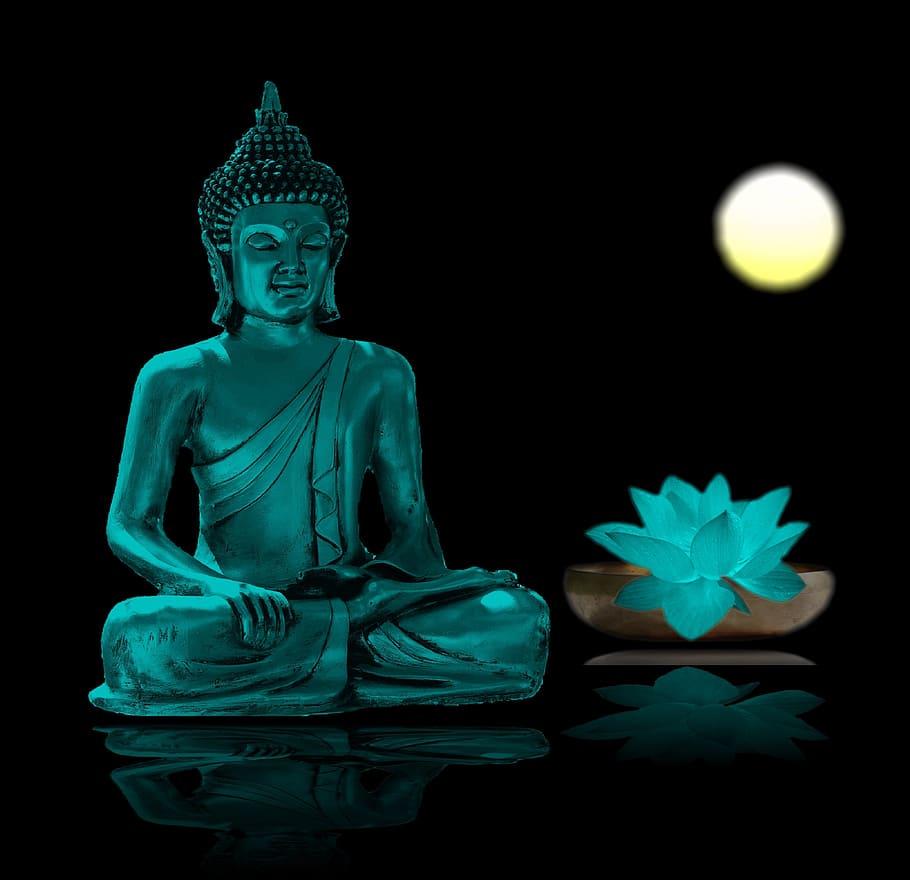 500 Gautama Buddha Pictures HD  Download Free Images on Unsplash