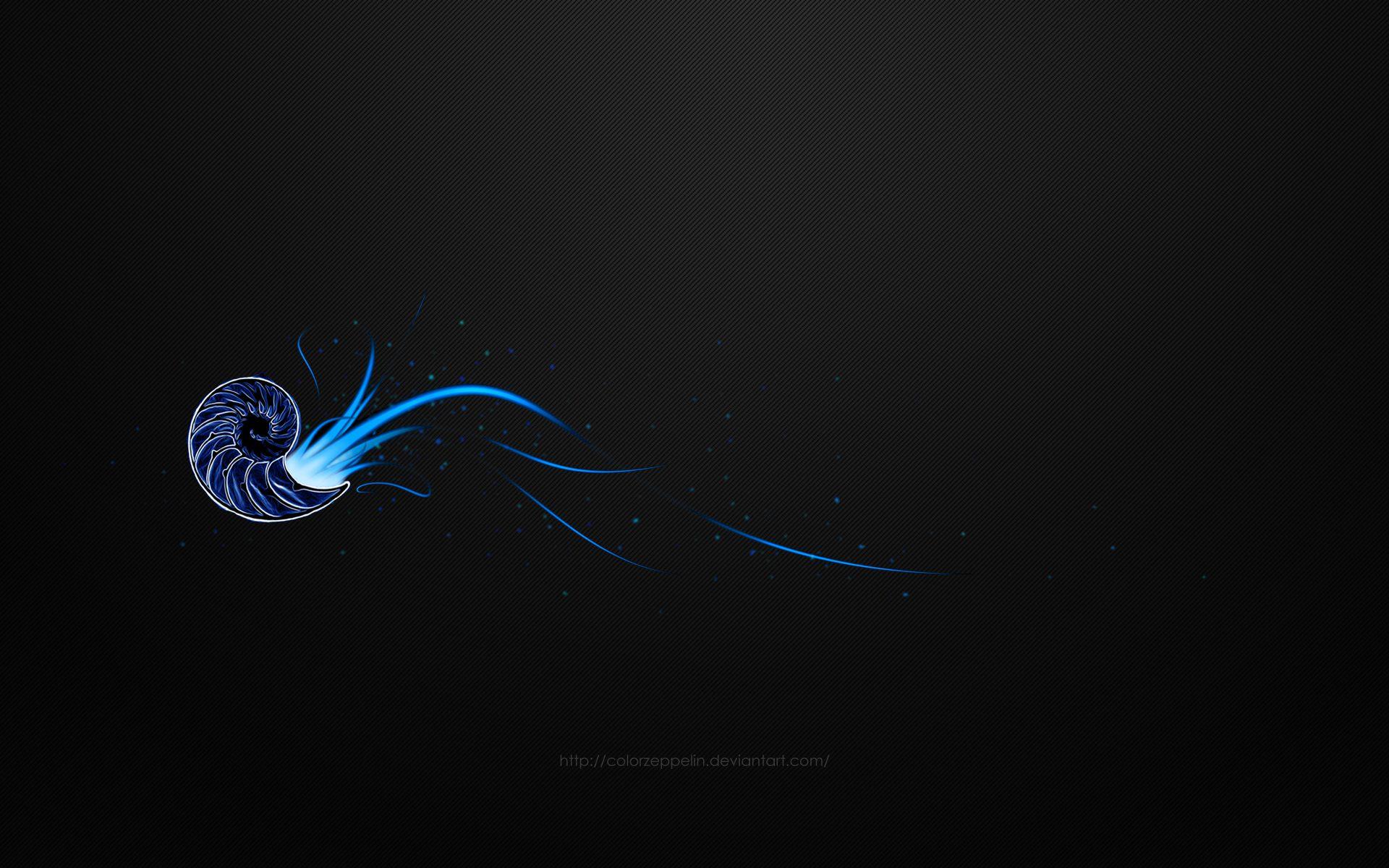 Nautilus Wallpapers - Top Free Nautilus Backgrounds - WallpaperAccess