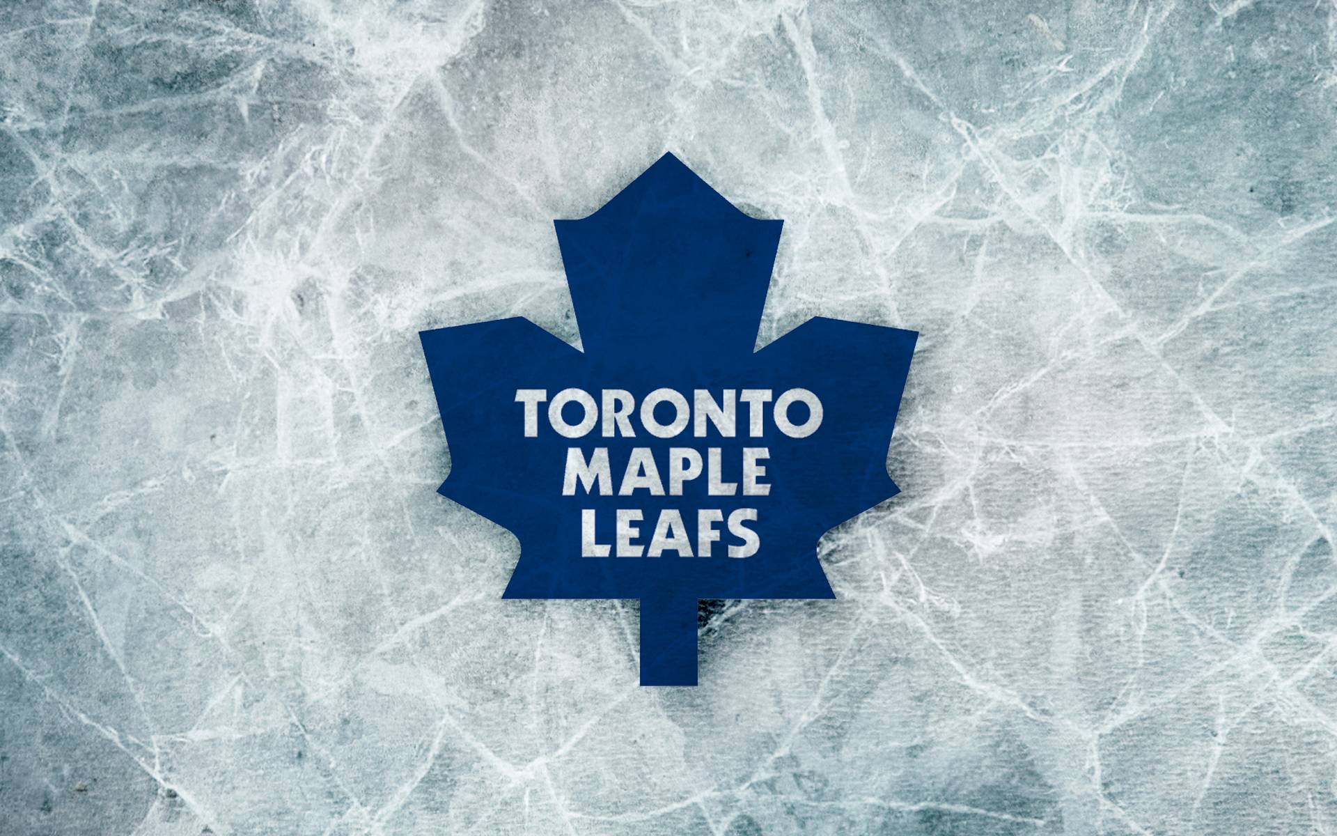 Maple Leafs Wallpaper  rleafs