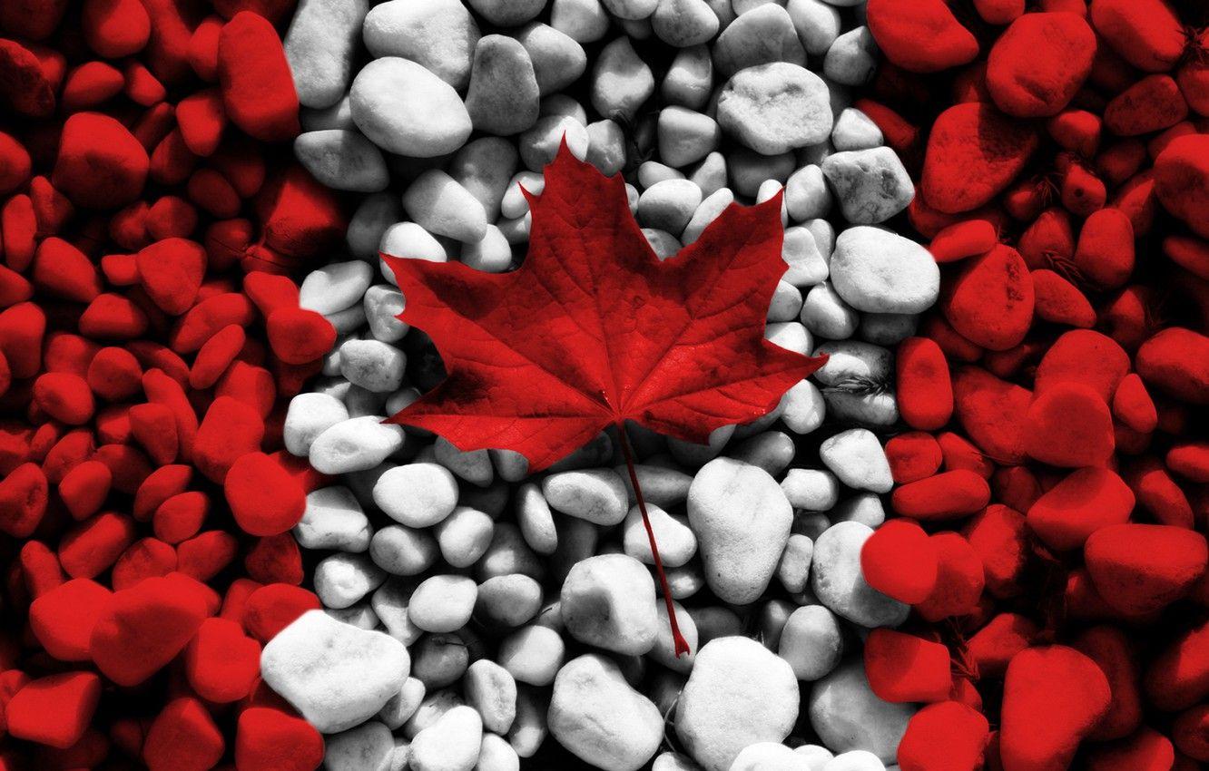 1332x850 Wallpaper white, red, stones, creative, stone, texture