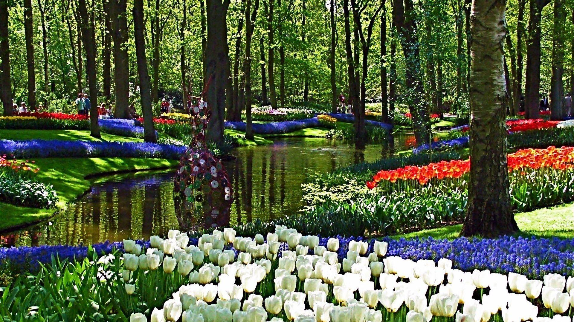 1920x1080 Keukenhof Tag wallpaper: Hyacinths Water Trees Gardens Tulips Path
