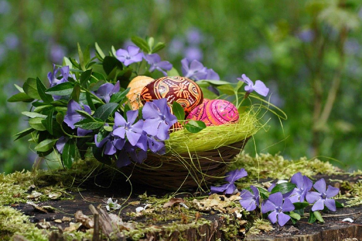1152x768 Flower: Still Nest Eggs Spring Garden Easter Arrangement Life Flower