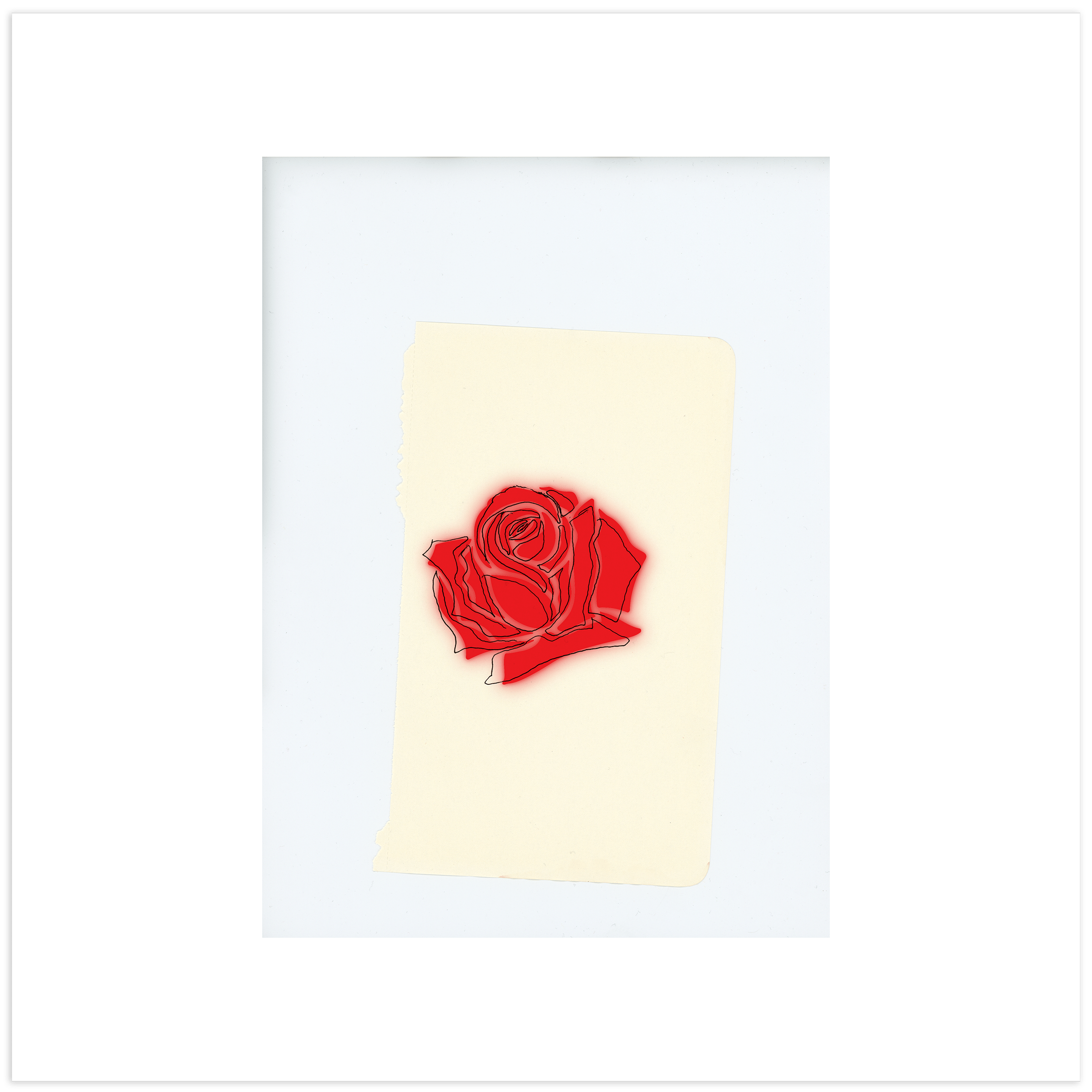 2400x2400 LANY