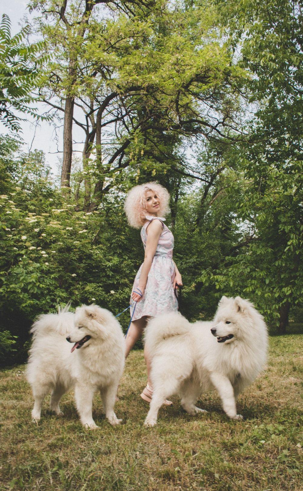 1000x1619 Samoyed Picture. Download Free Image