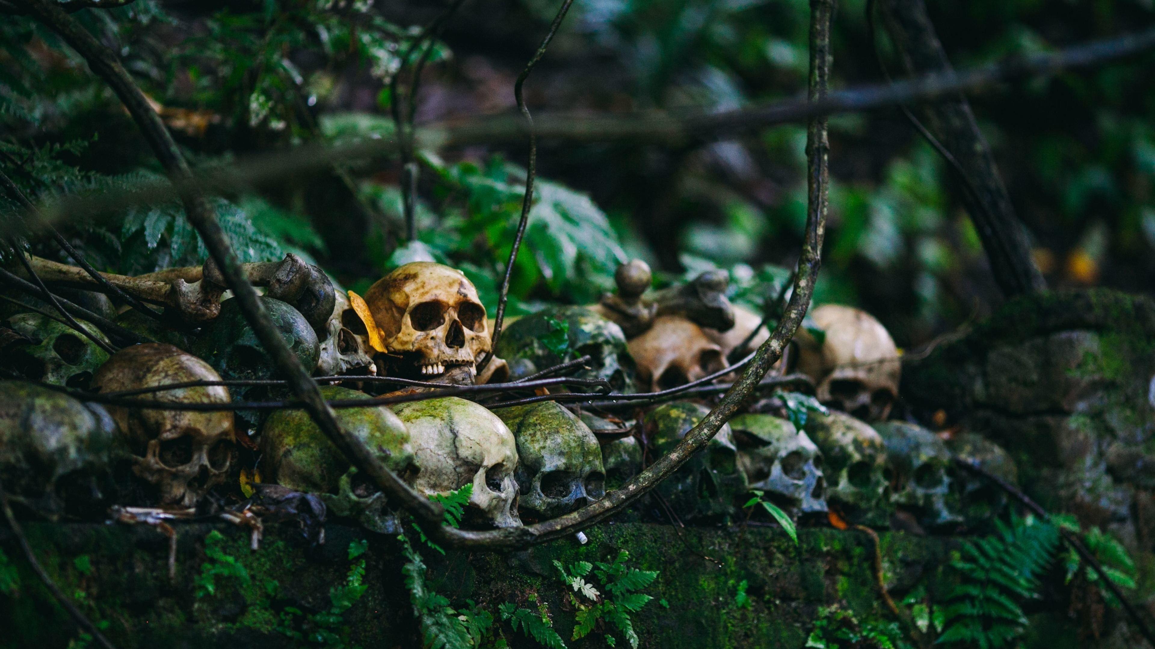 3840x2160 Horror Skull in Jungle 4K Wallpaper