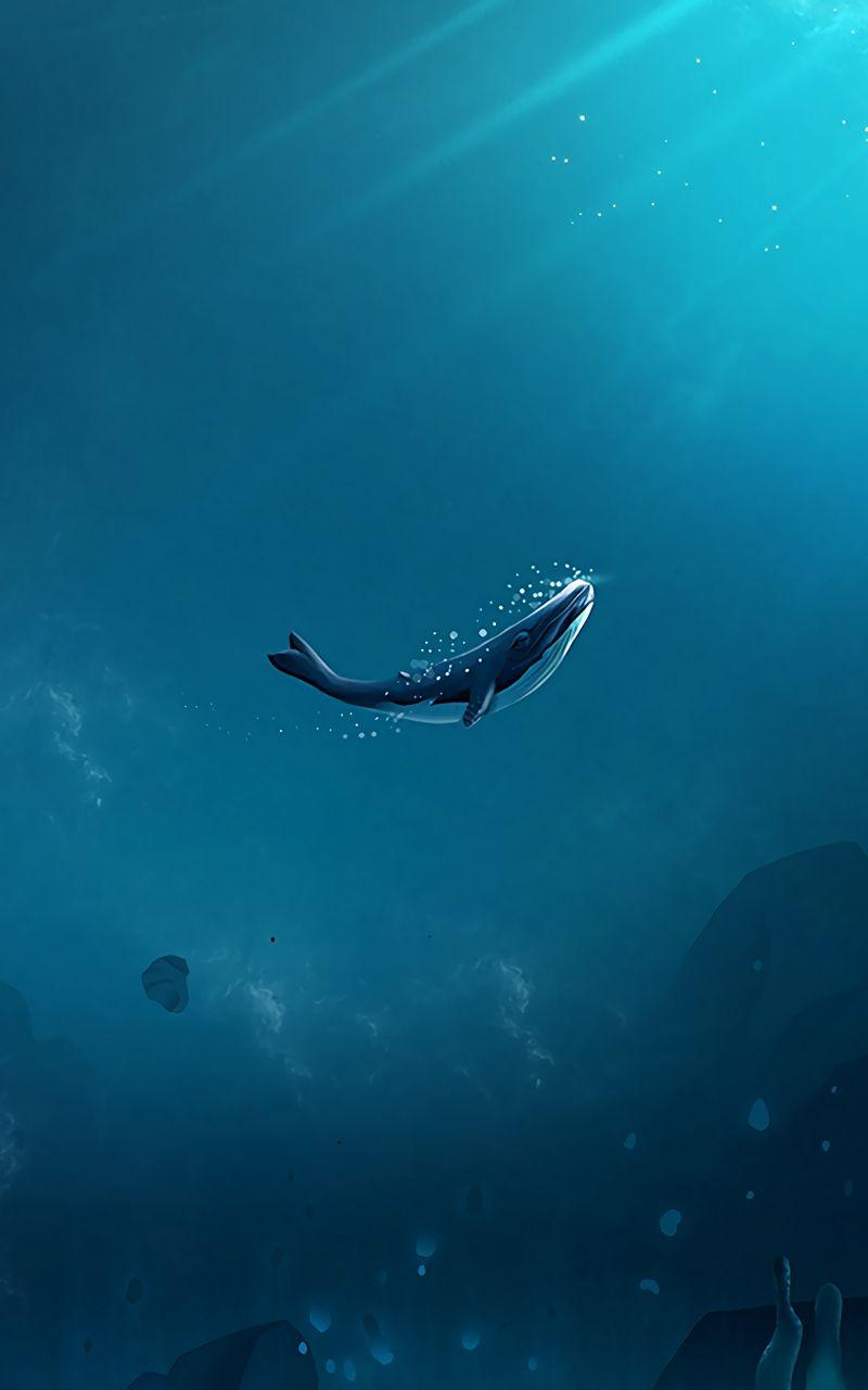 800x1280 Download wallpaper 800x1280 whale, ocean, underwater world