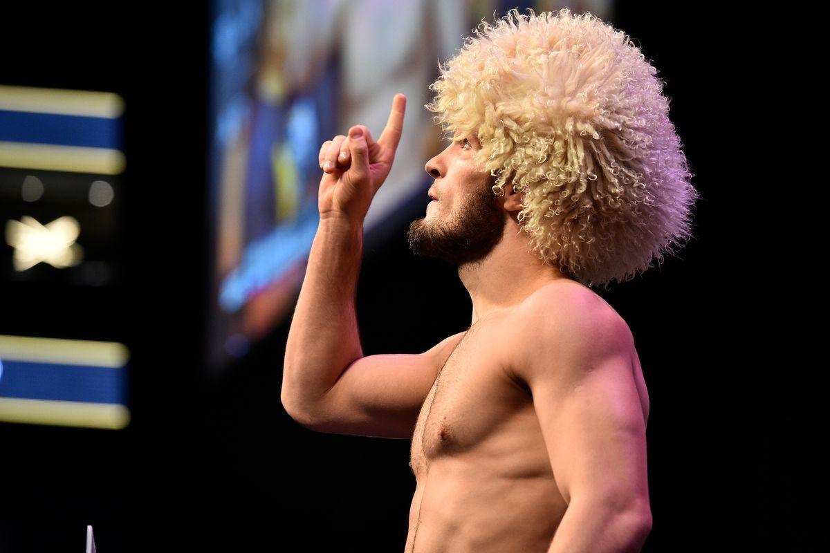 Khabib champion for you dad mma ready to fight ufc HD phone wallpaper   Peakpx